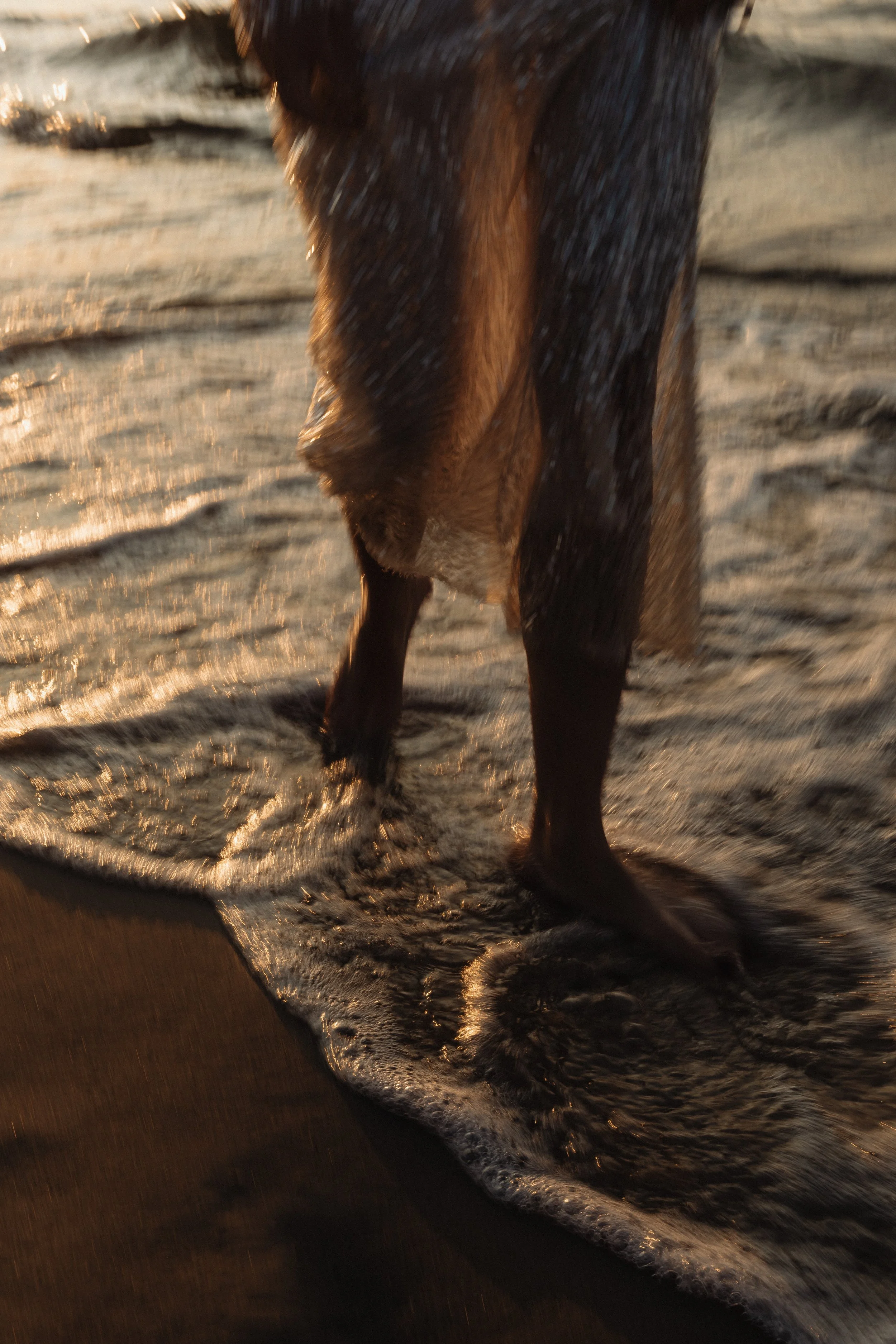 Close-up of a person's legs and feet in the ocean water, with waves washing over their feet, during sunset or sunrise.