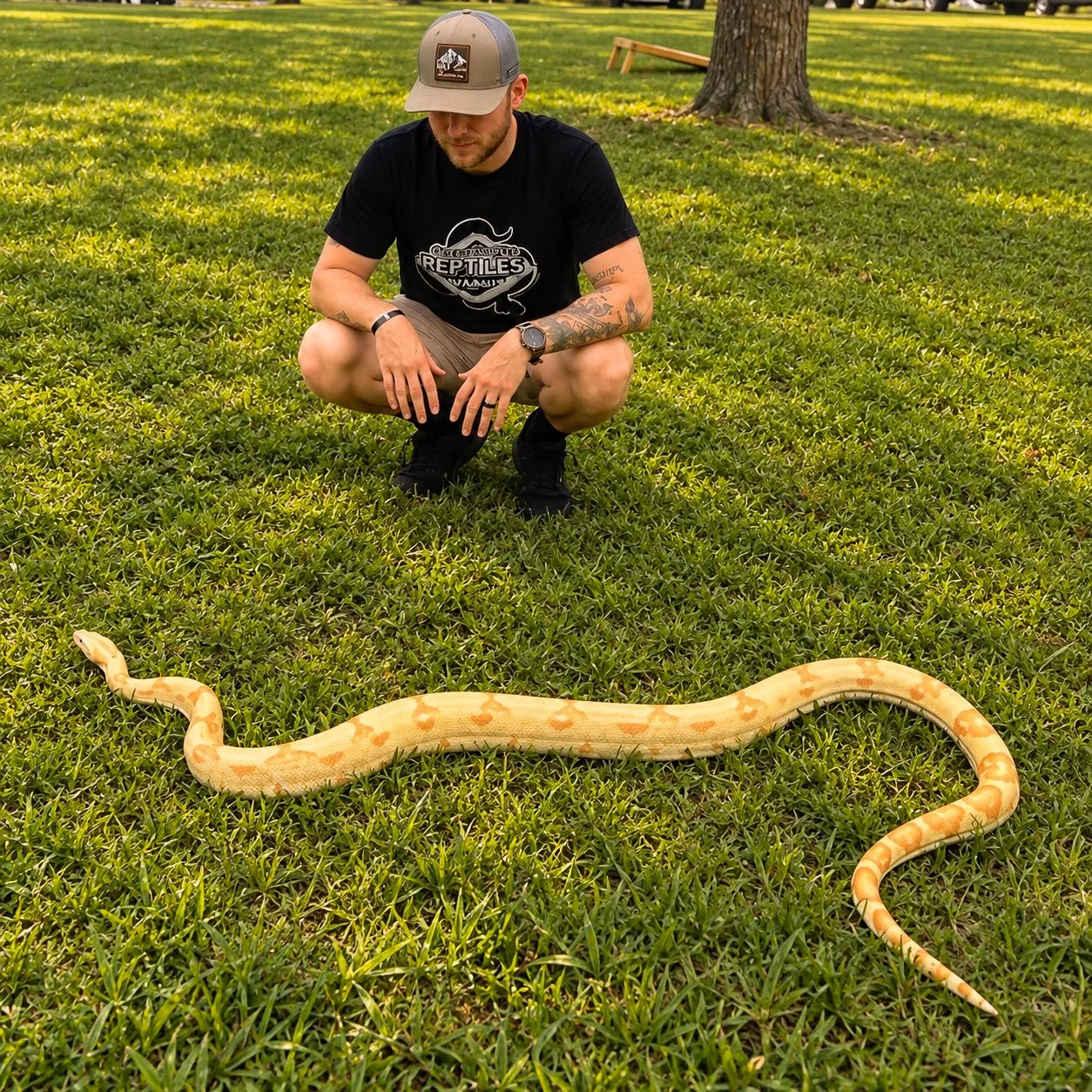 Zoo To You reptile educator with a large albino boa constrictor snake during an outdoor reptile encounter in Arkansas