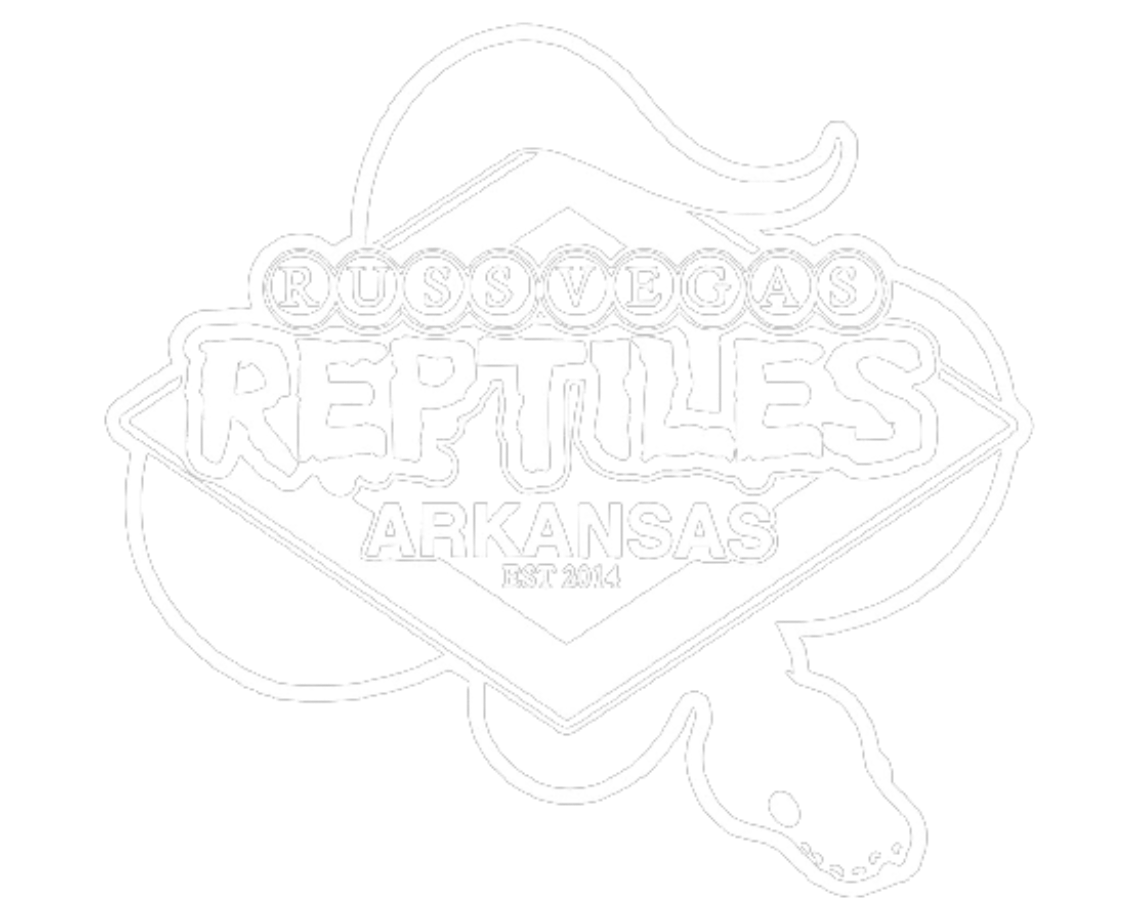 Russ Vegas Reptiles