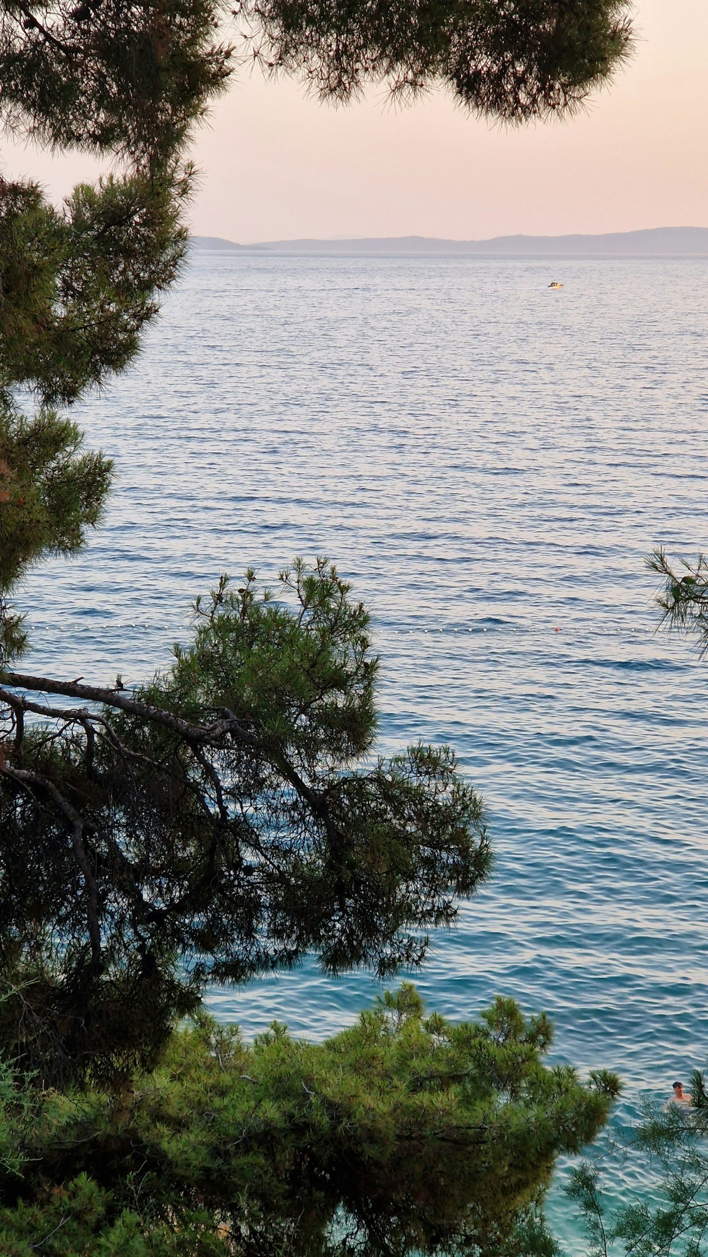 A view of a lake framed by pine trees in the foreground, with a small boat on the water and distant hills on the horizon during dusk or dawn.