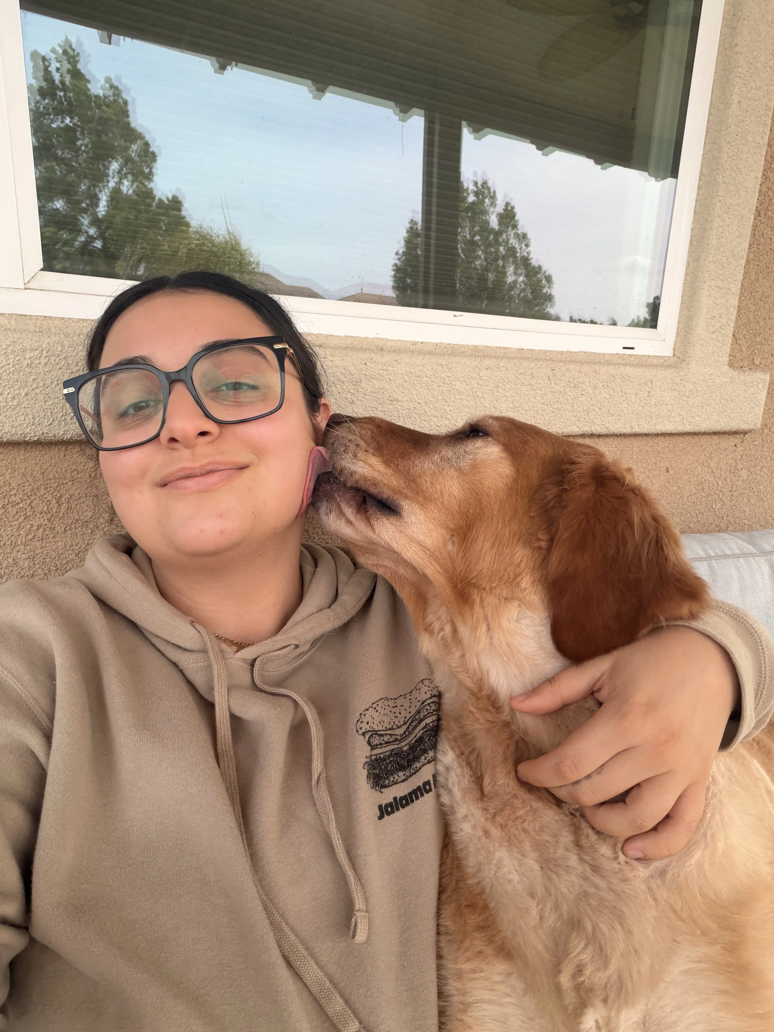 A person with glasses and a beige hoodie smiling while holding a tan dog that is licking their face.