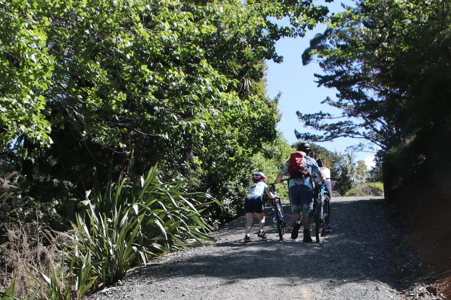 A Guide To The Matakana Cycle Trail