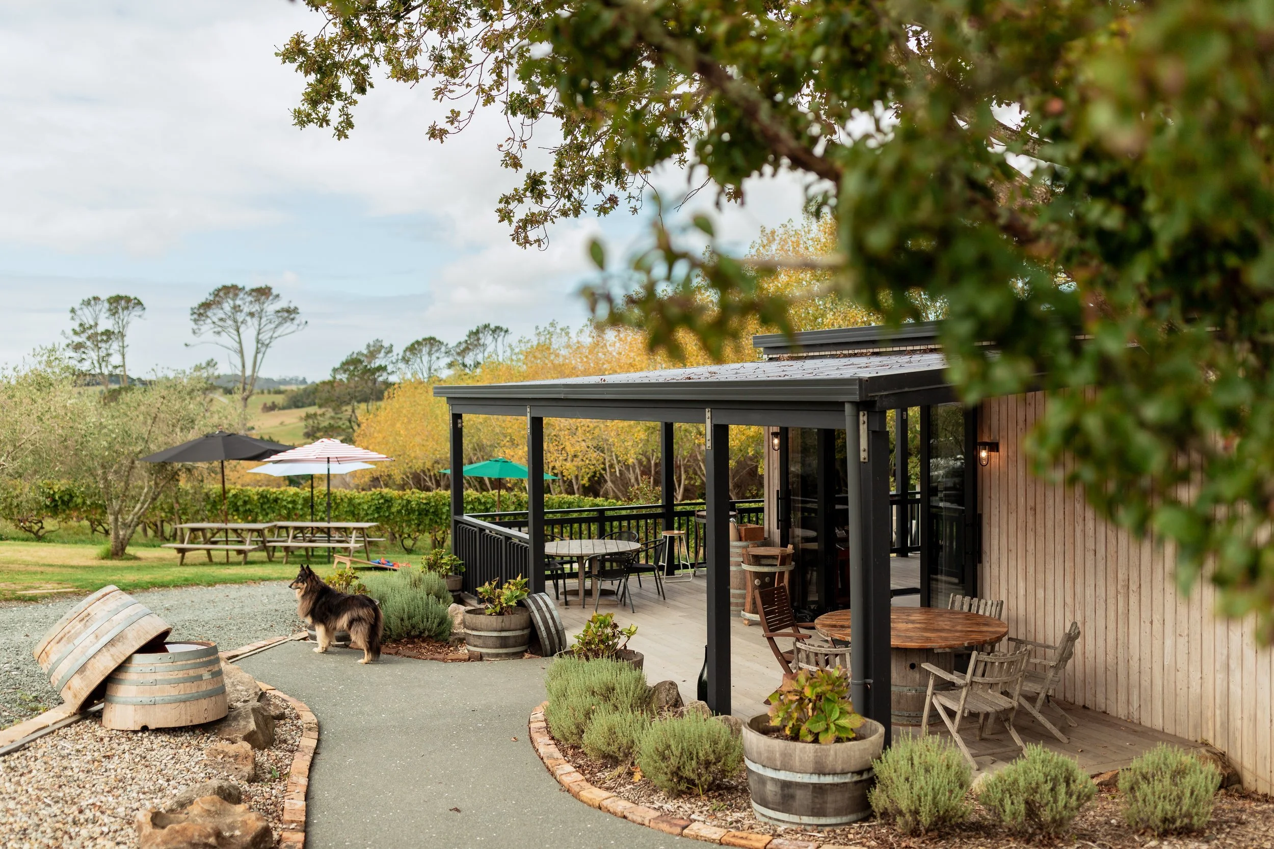 Rustic vineyard café and outdoor seating on the Matakana Coast near Warkworth, New Zealand.