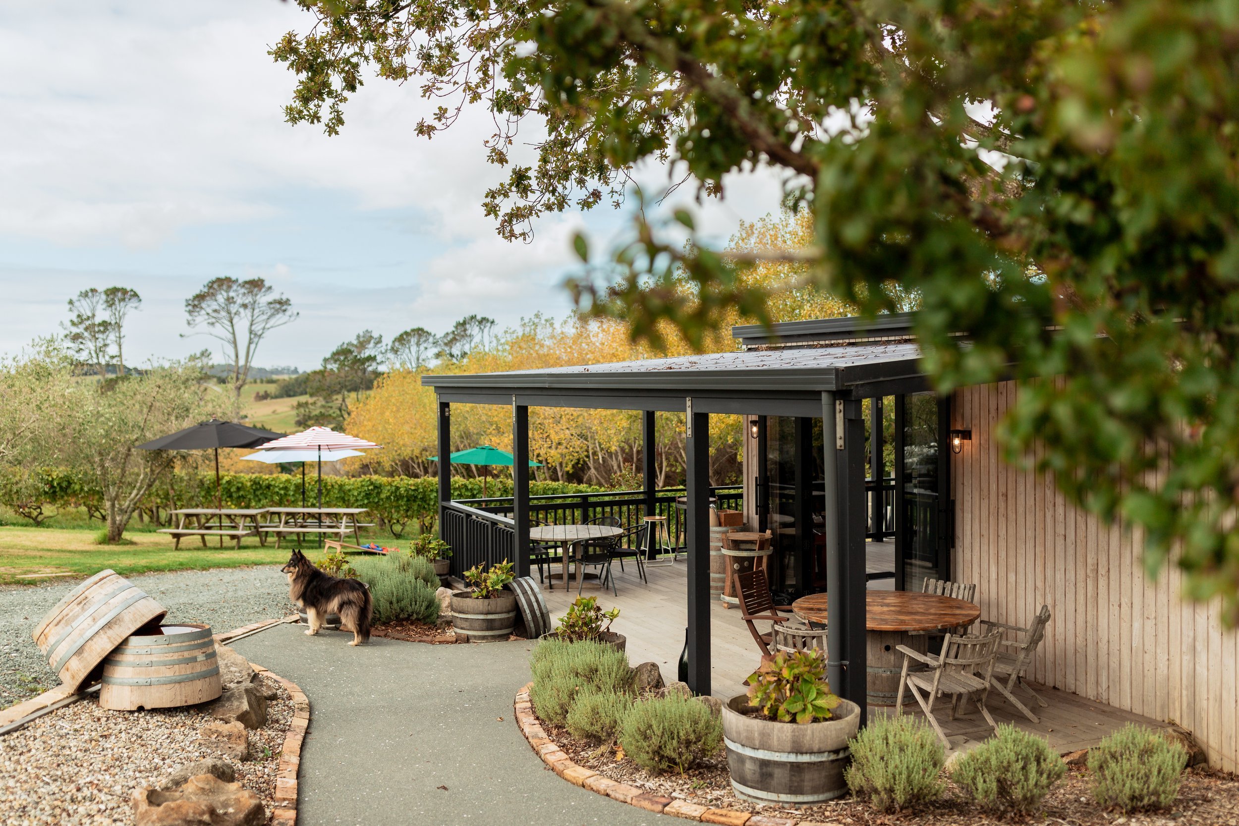 Matakana and Warkworth's Wineries and Cellar Doors
