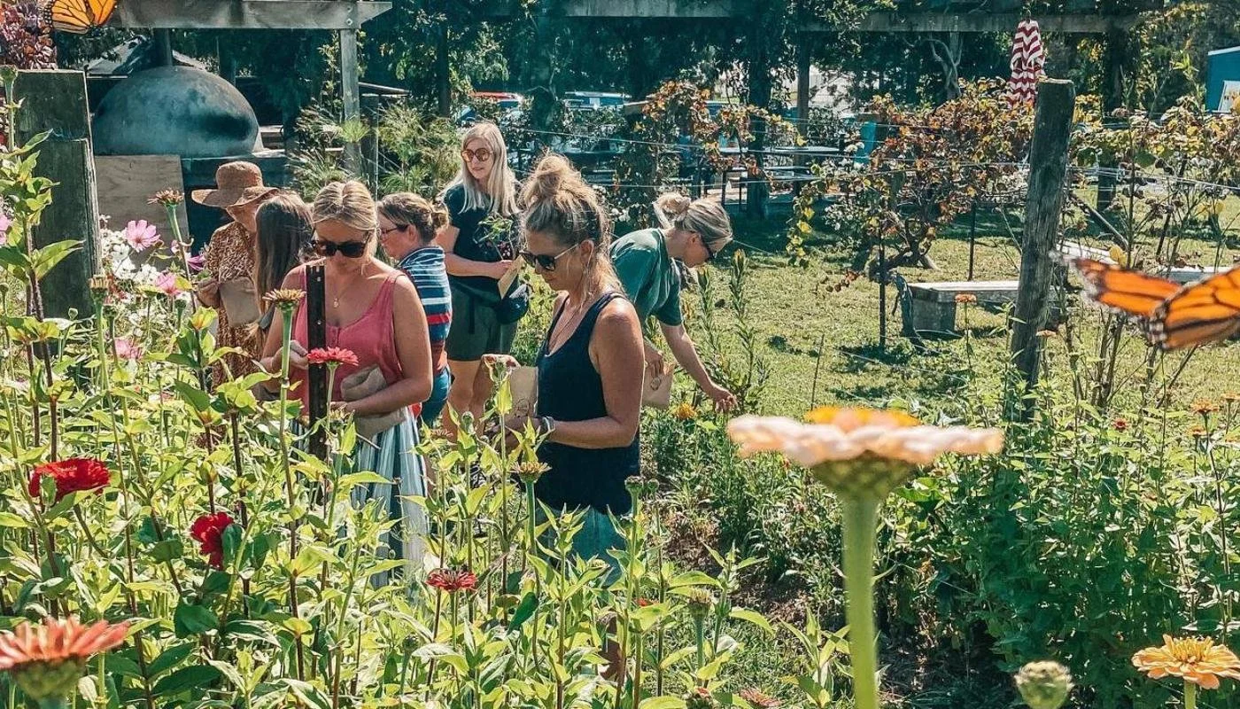 Visitors picking flowers at a local garden on the Matakana Coast near Warkworth, New Zealand.
