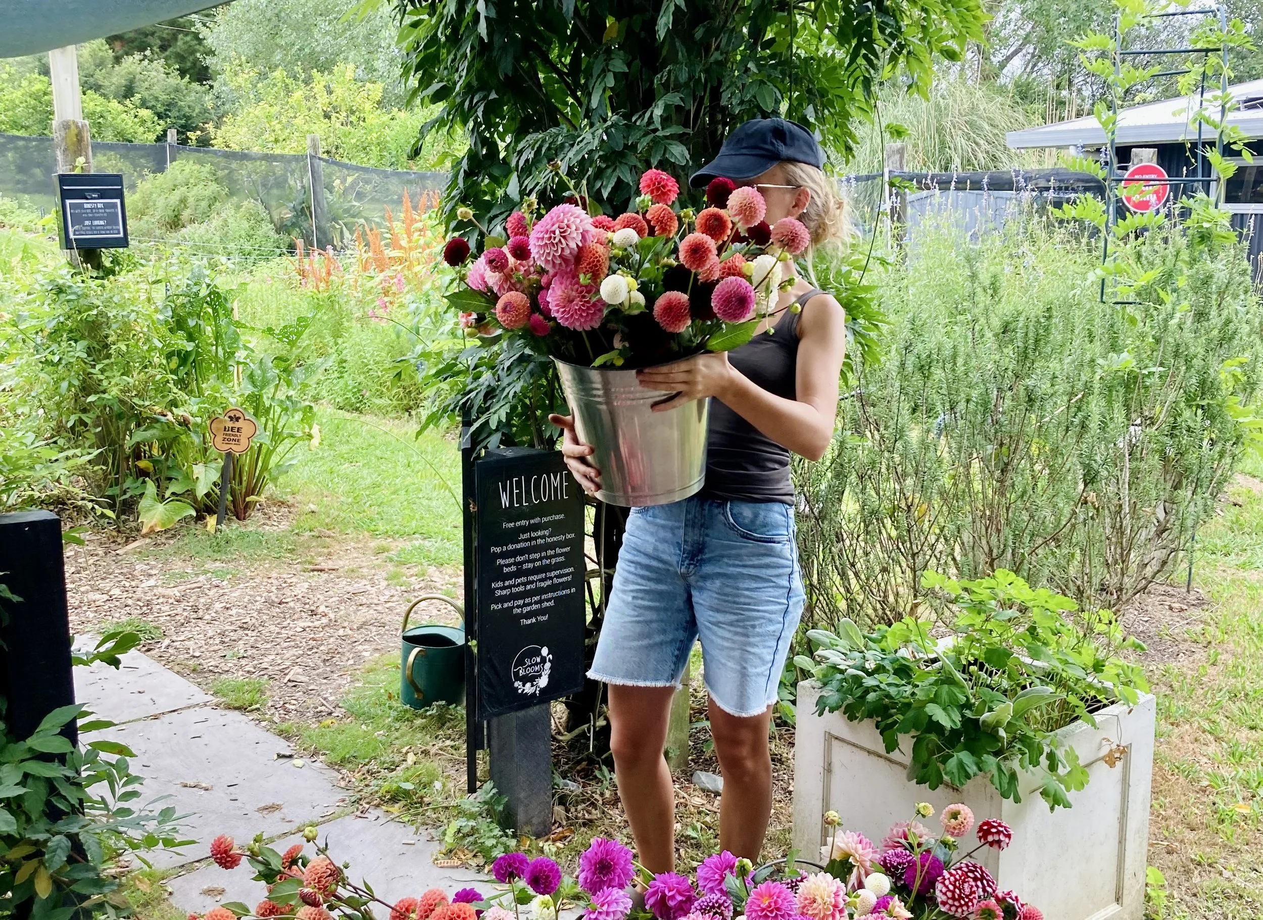 Pick Your Own Flowers &amp; Herbs in Matakana