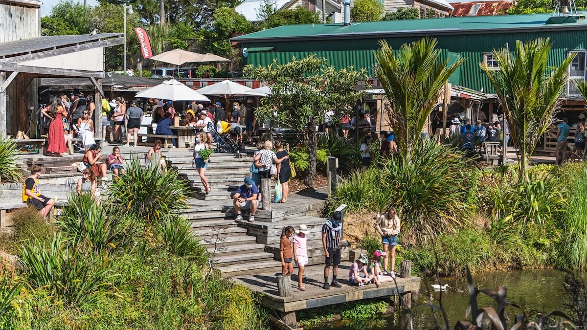Summer in Matakana: Discover the Best Experiences on the Coast