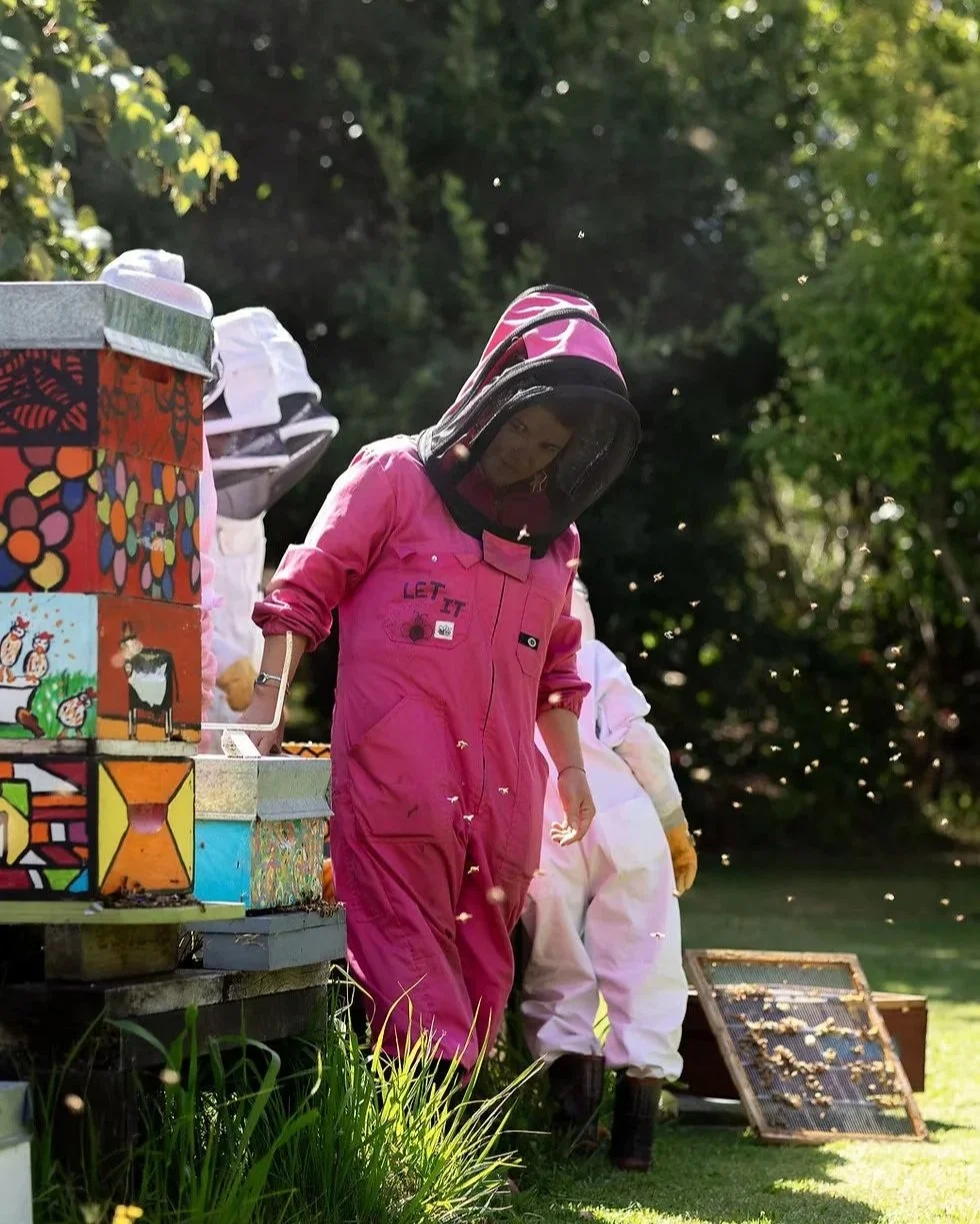 Beekeeping experience with local hives on the Matakana Coast near Warkworth, New Zealand.