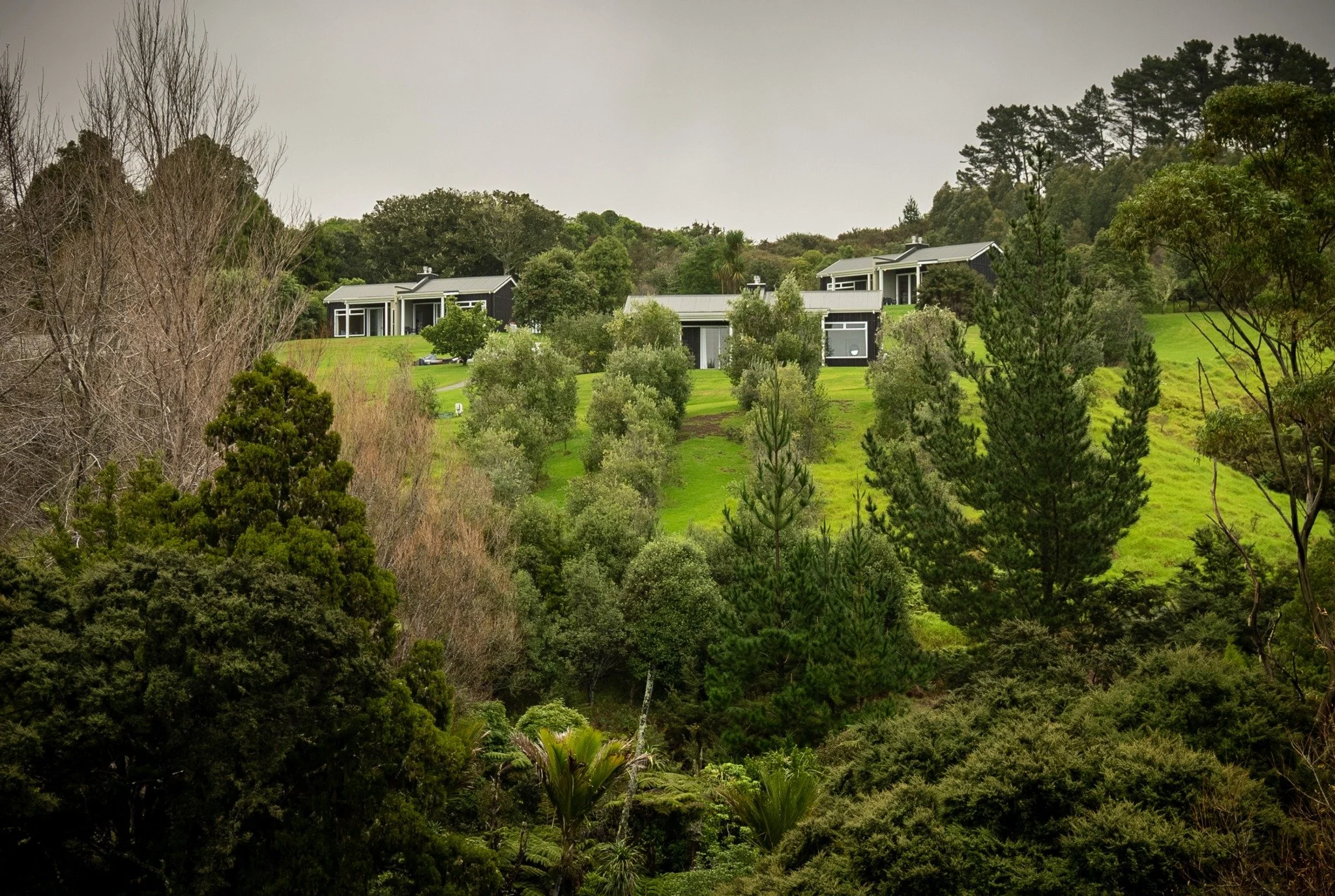 Luxury lodge villas set on a lush green hillside surrounded by native bush.
