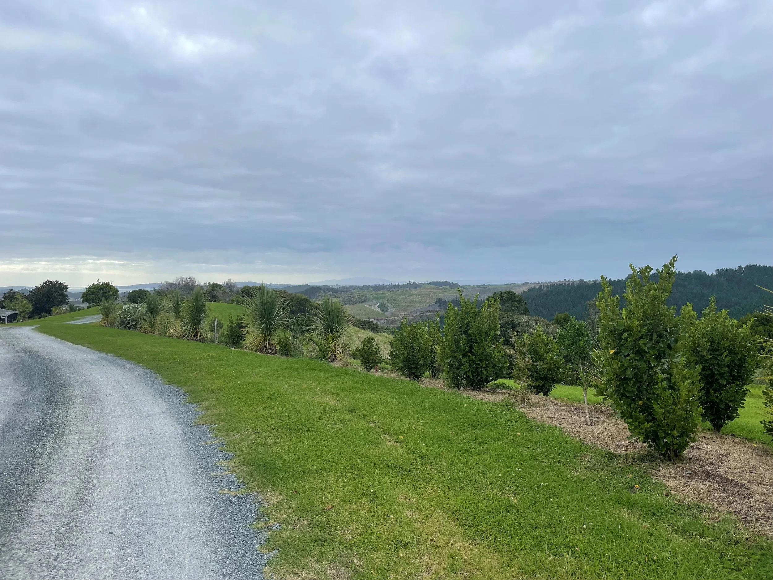 Landscaped grounds and native planting at Woodhouse Mountain Lodge in the Matakana hinterland.