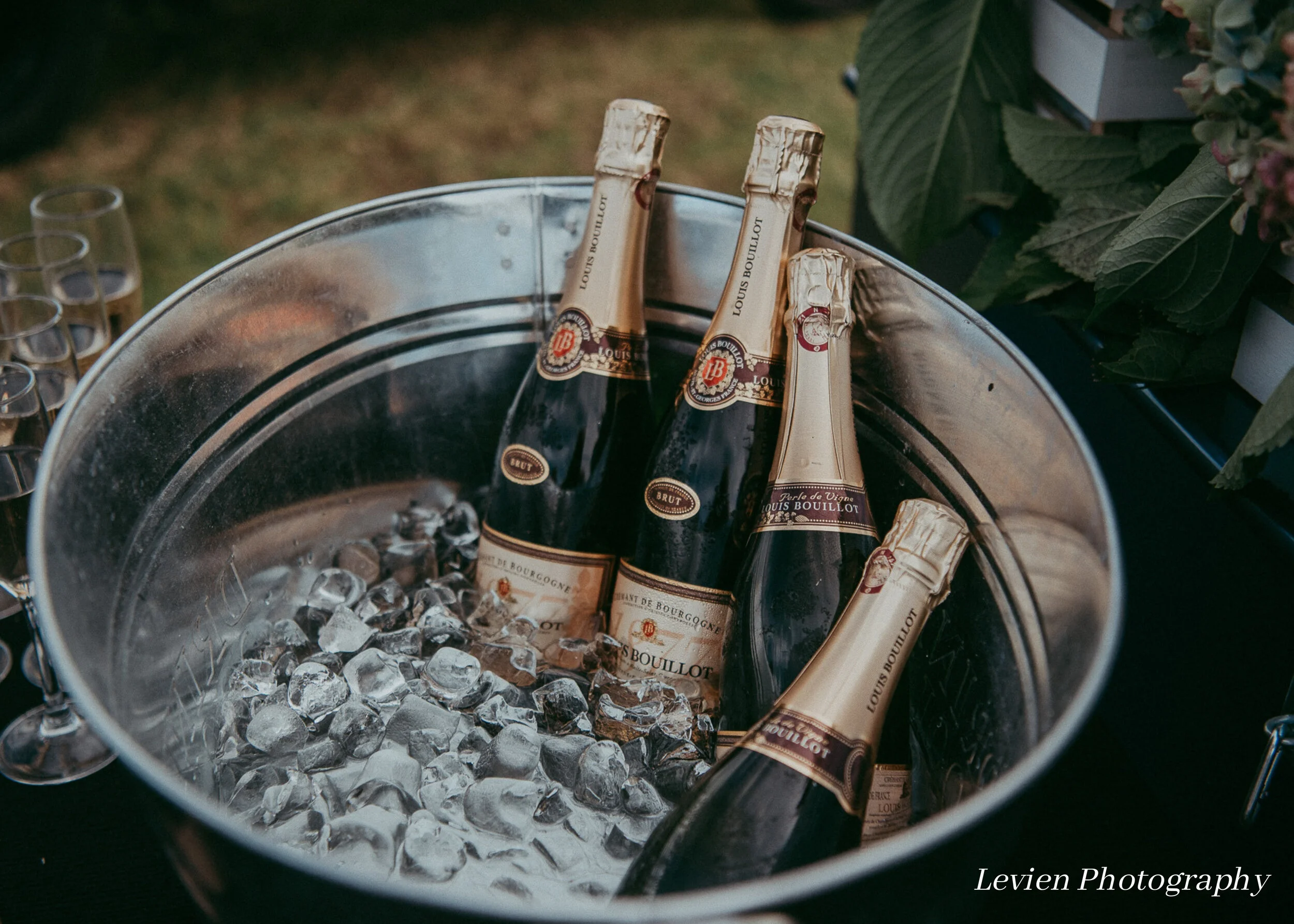 Chilled bottles of champagne ready for guests, adding sparkle to a perfect celebration.