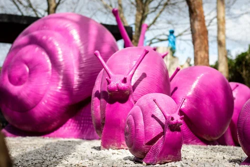 Outdoor art installation at Sculptureum in Matakana near Woodhouse Mountain Lodge.