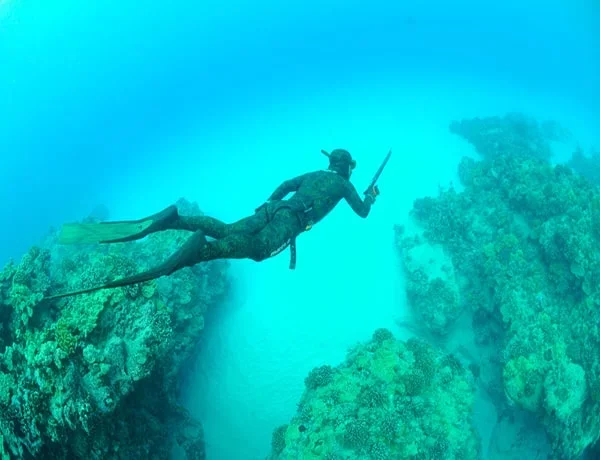 Scuba diver exploring underwater rock formations and marine life near the Matakana coast.