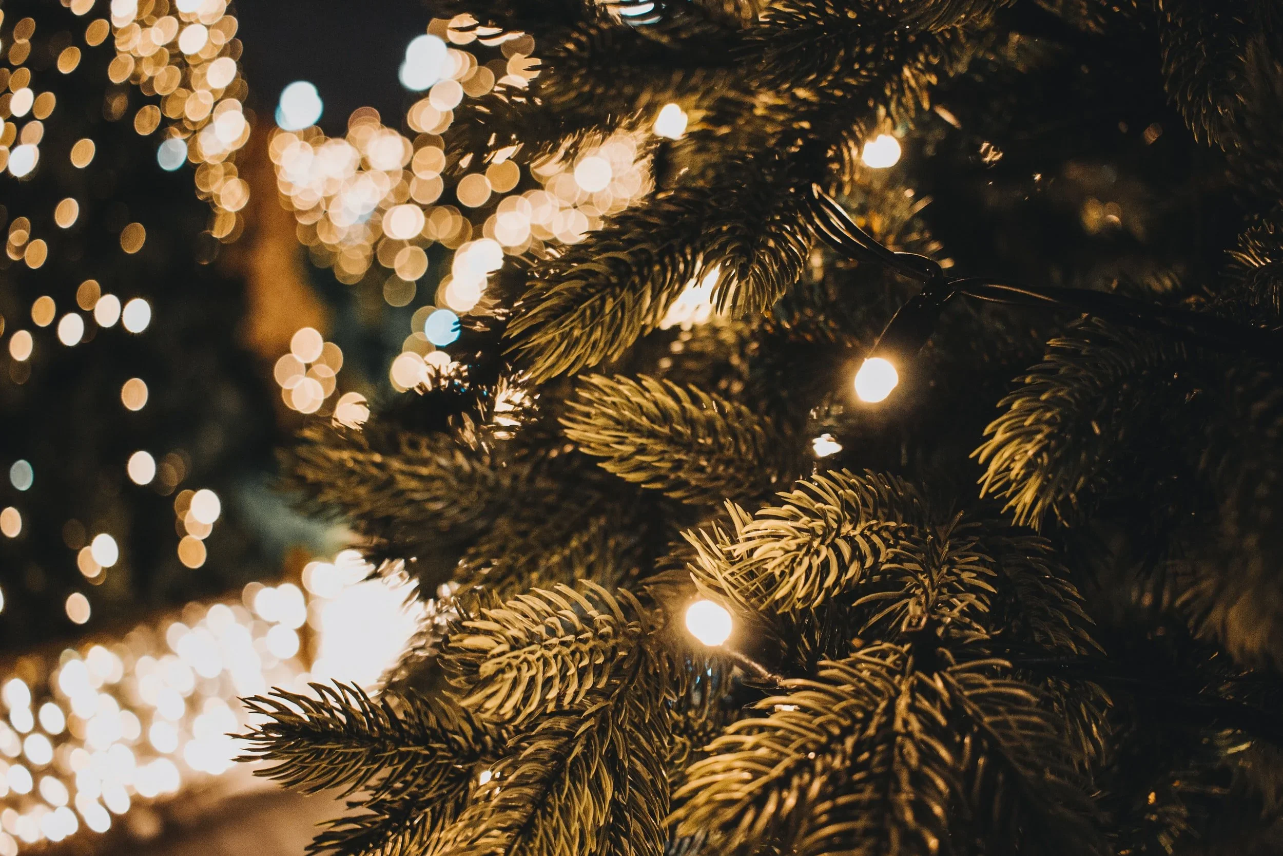 Close-up of a Christmas tree with warm white lights and green pine branches.