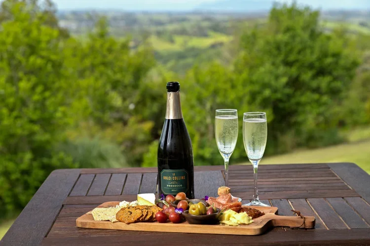 Wine and grazing platter overlooking the Matakana countryside at Woodhouse Mountain Lodge.