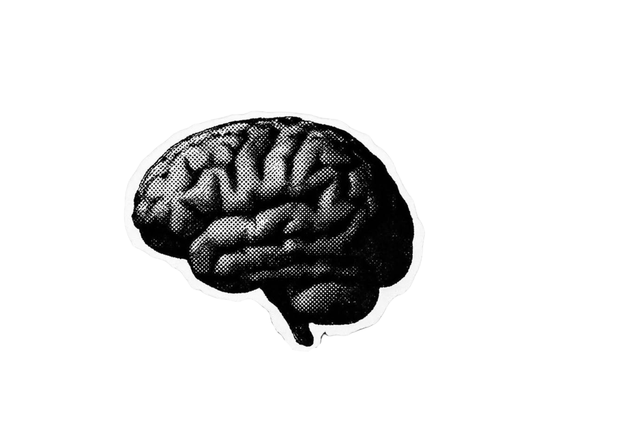 Screentone graphic of a brain