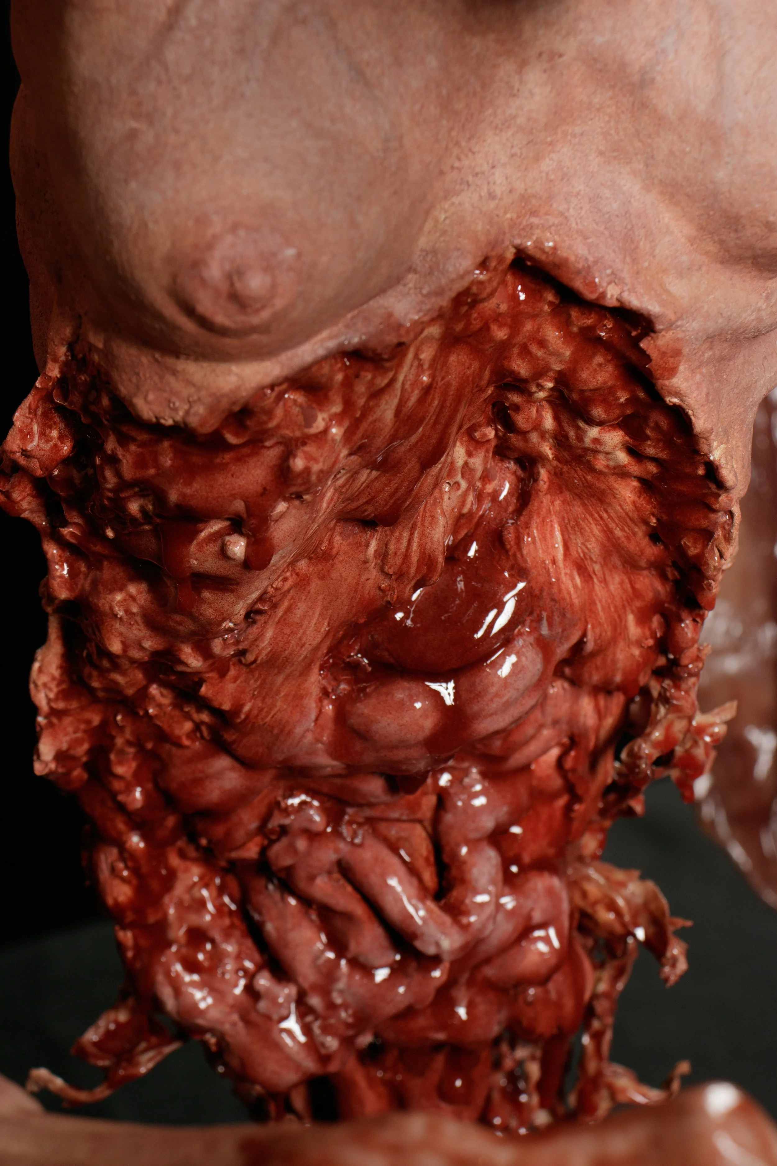 CREATURE_DESIGN_CHELSEA_MCNARAMA-817.jpg