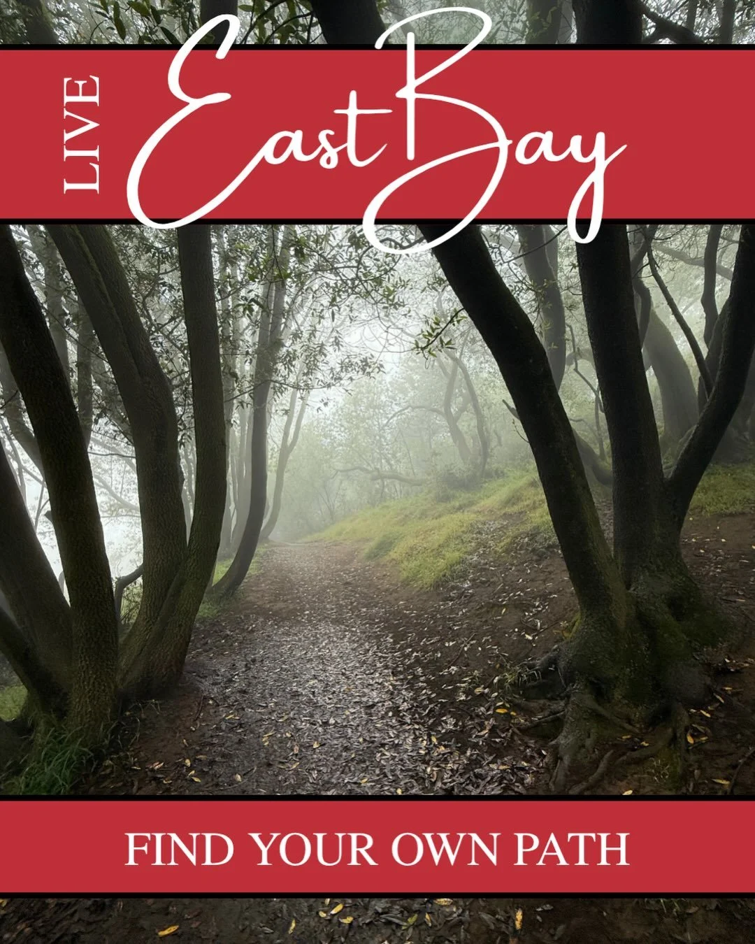🌳
It feels like there are endless possibilities to walk, hike, bike and explore in the East Bay! It&rsquo;s no wonder the residents often make lists of the happiest and healthiest. 
With trails lacing through the hills, running alongside the bay or 
