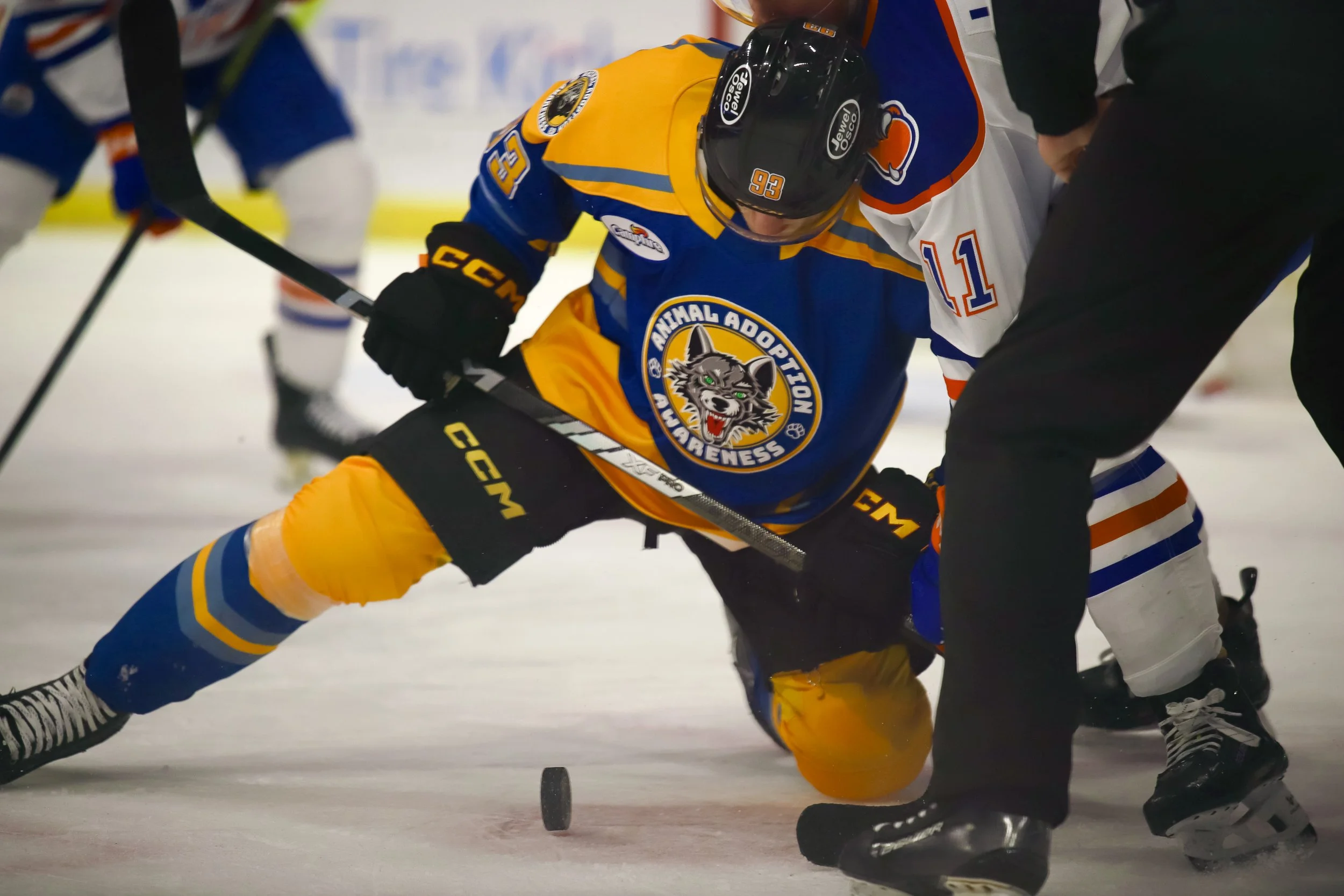 Wolves1-19-38.jpg