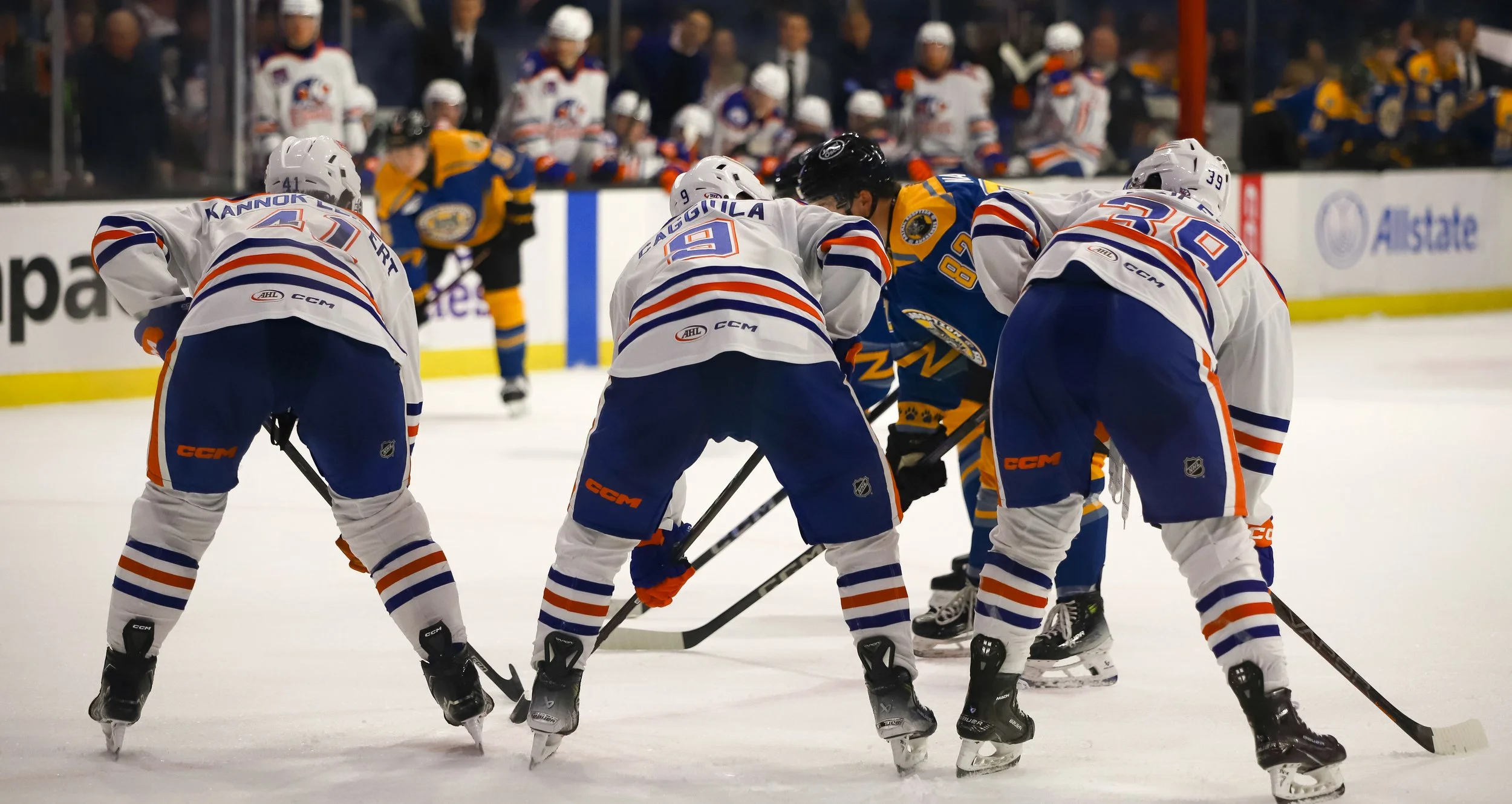 Wolves1-19-25.jpg