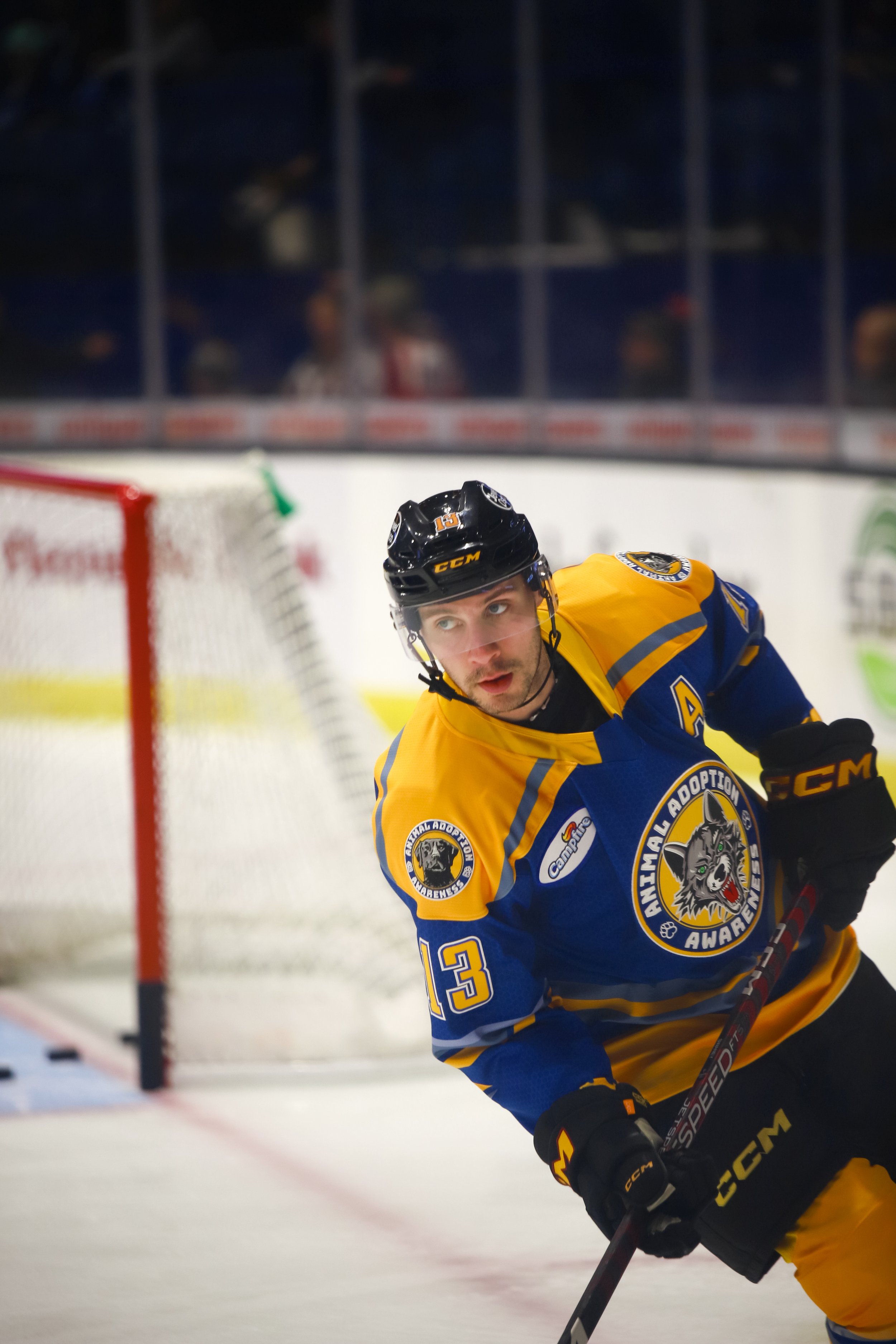 Wolves1-19-44.jpg