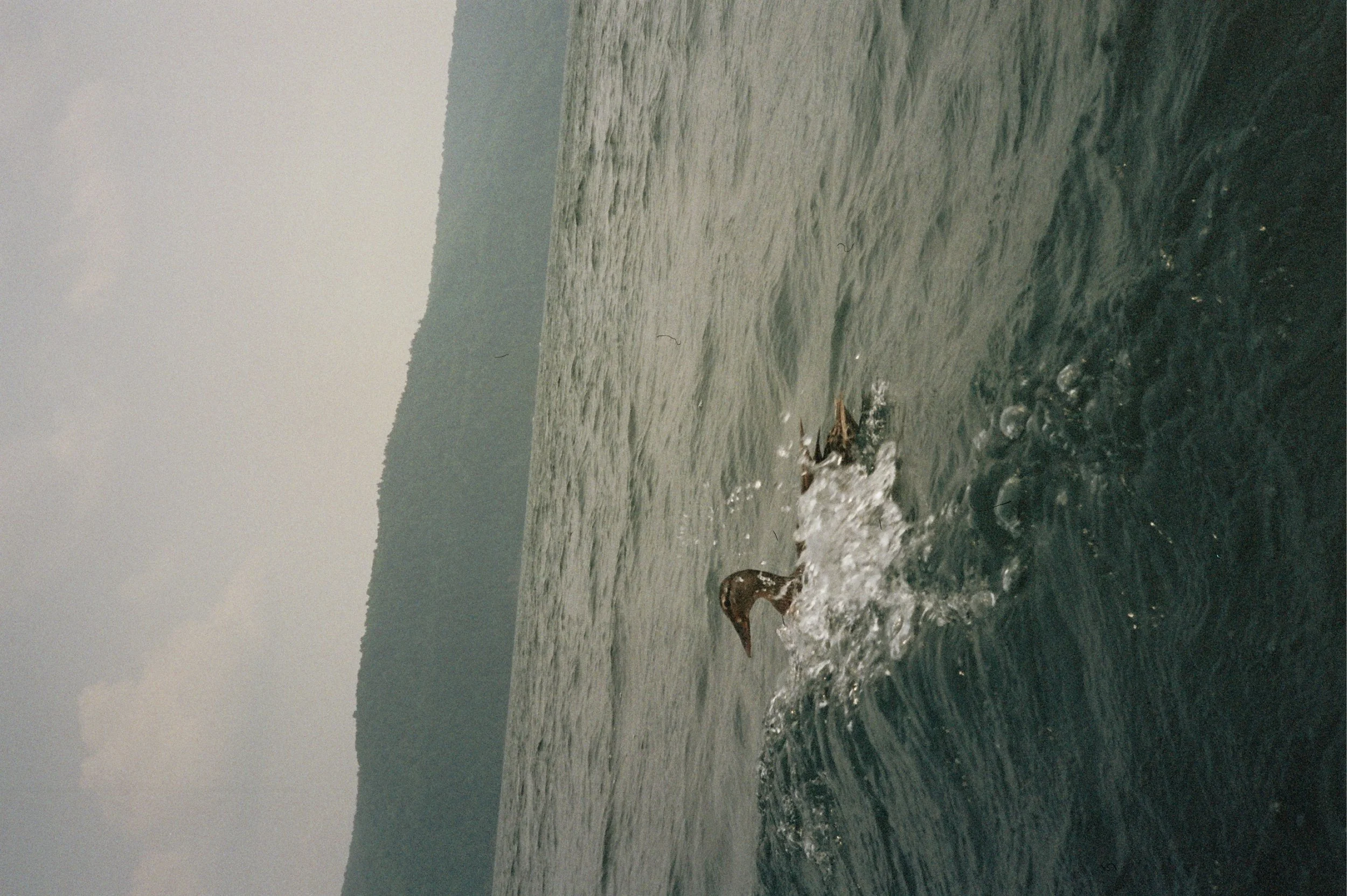 _1A_0825.jpg