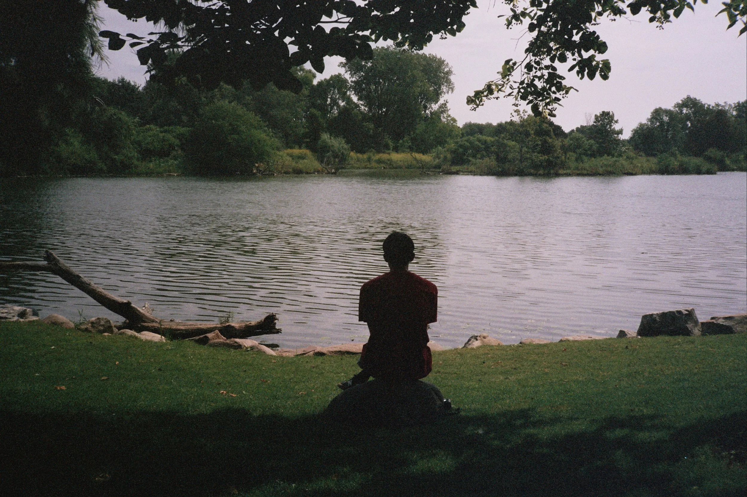 26A_0800.jpg