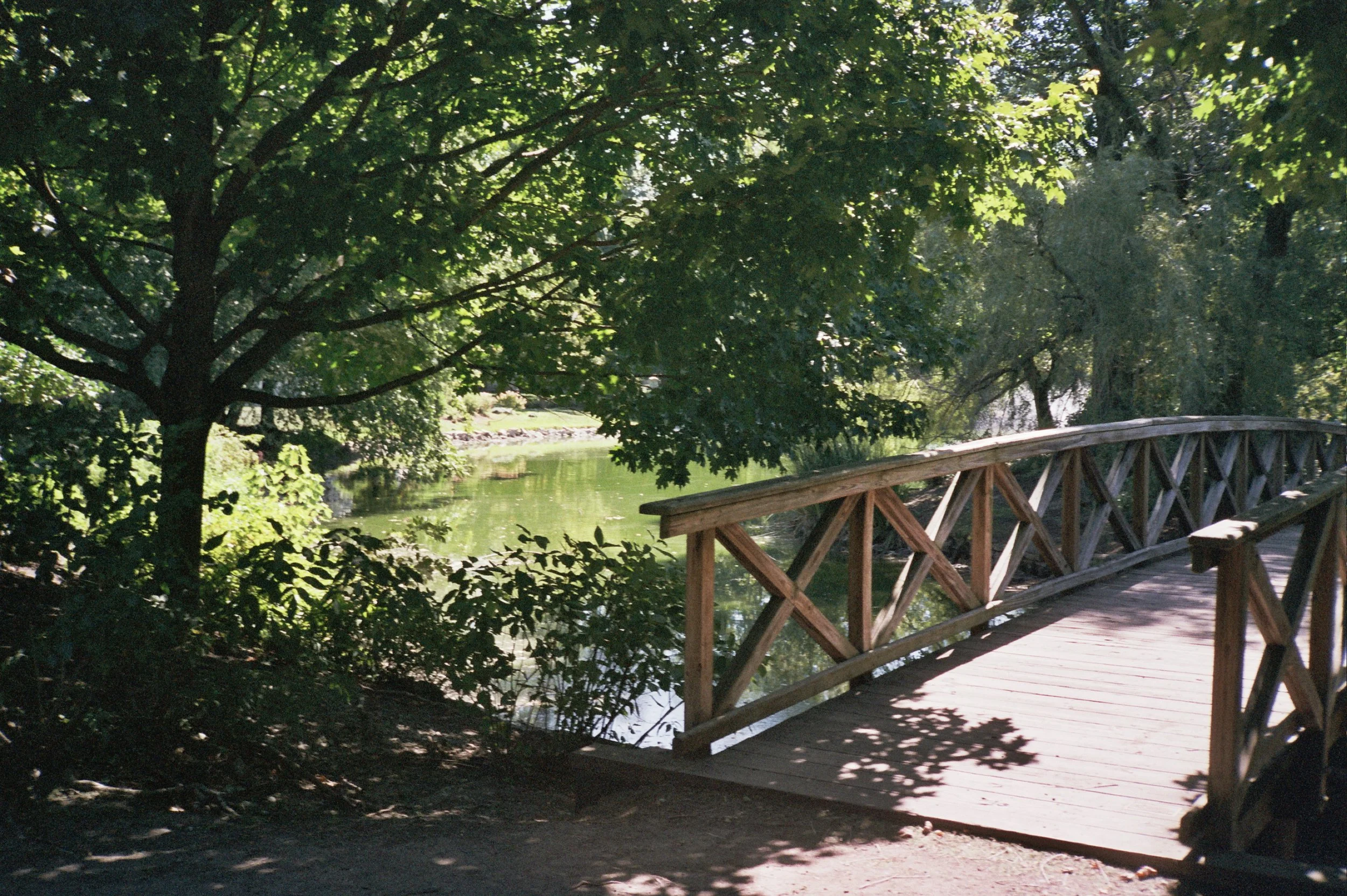 34A_0792.jpg