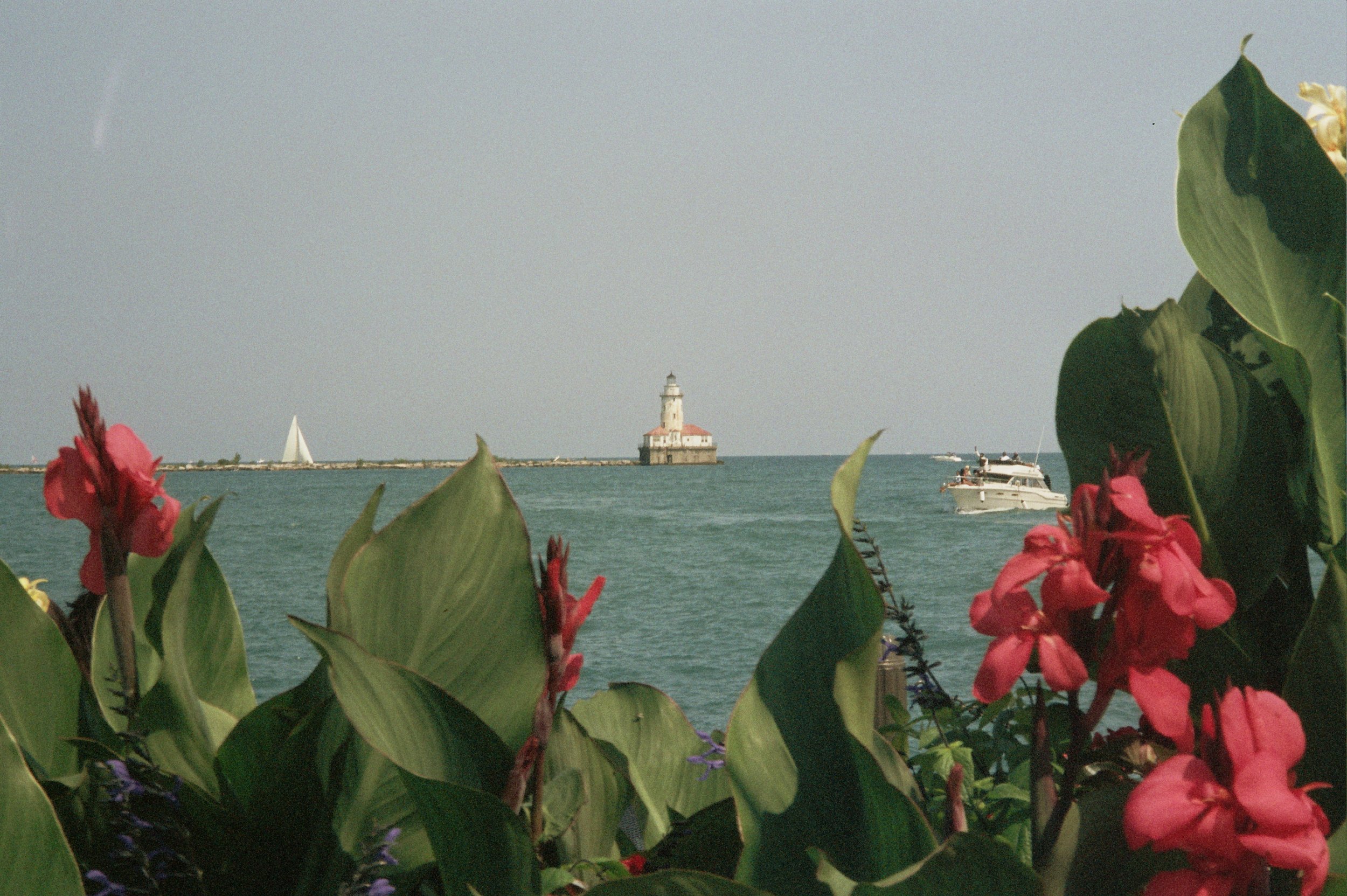 15A_0811.jpg