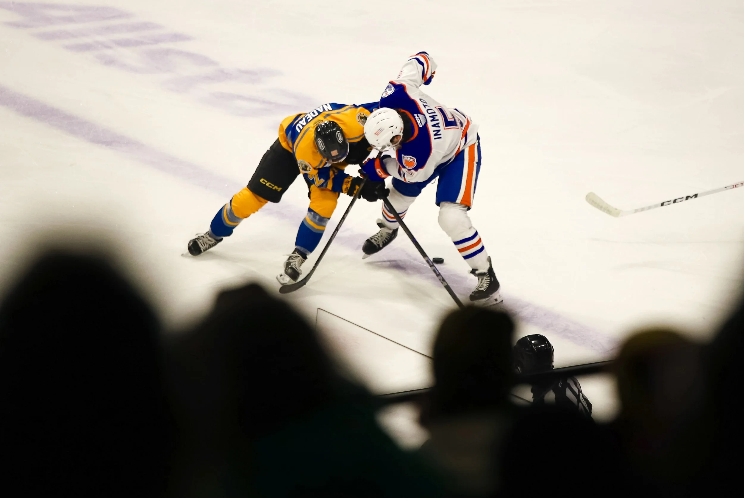 Wolves1-19-33.jpg