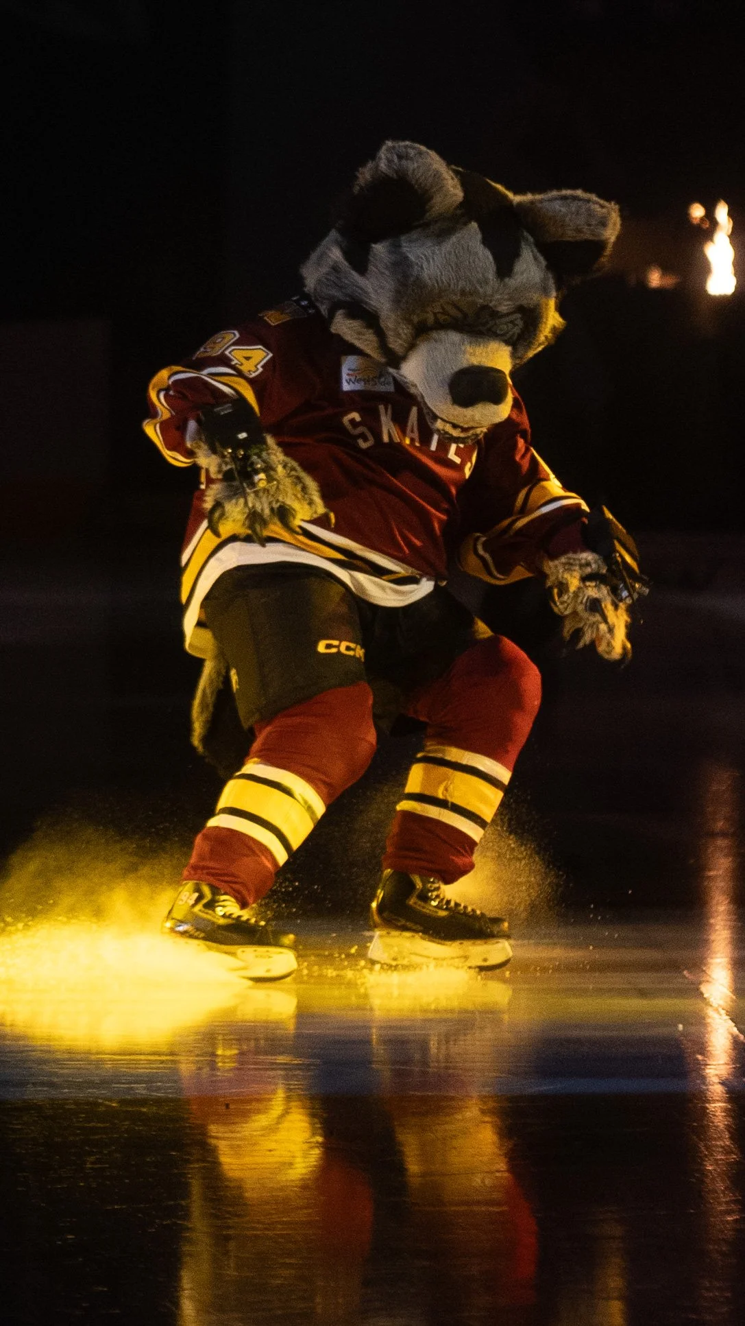 Wolves-6-3-25.jpg