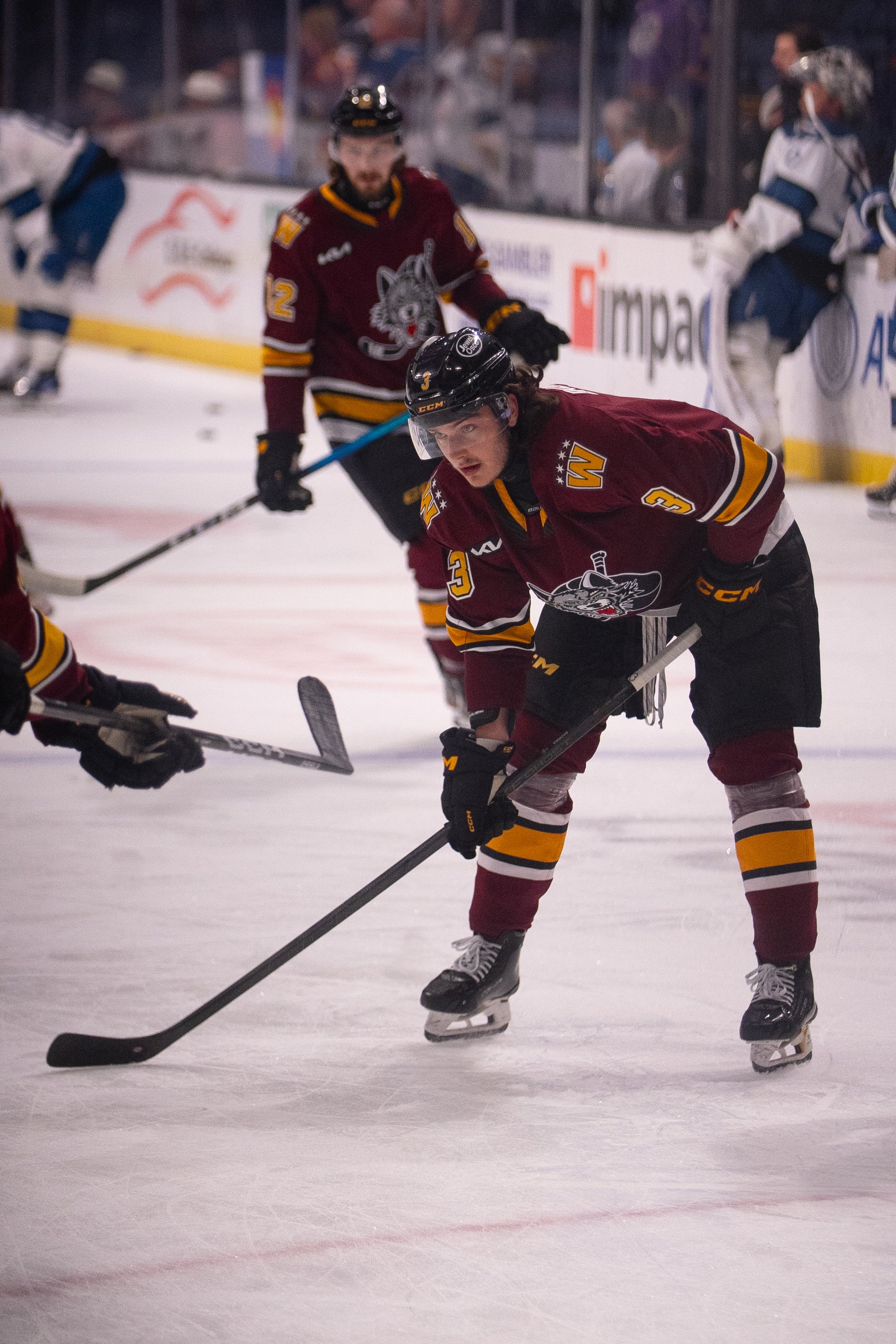 Wolves6-3-23.jpg