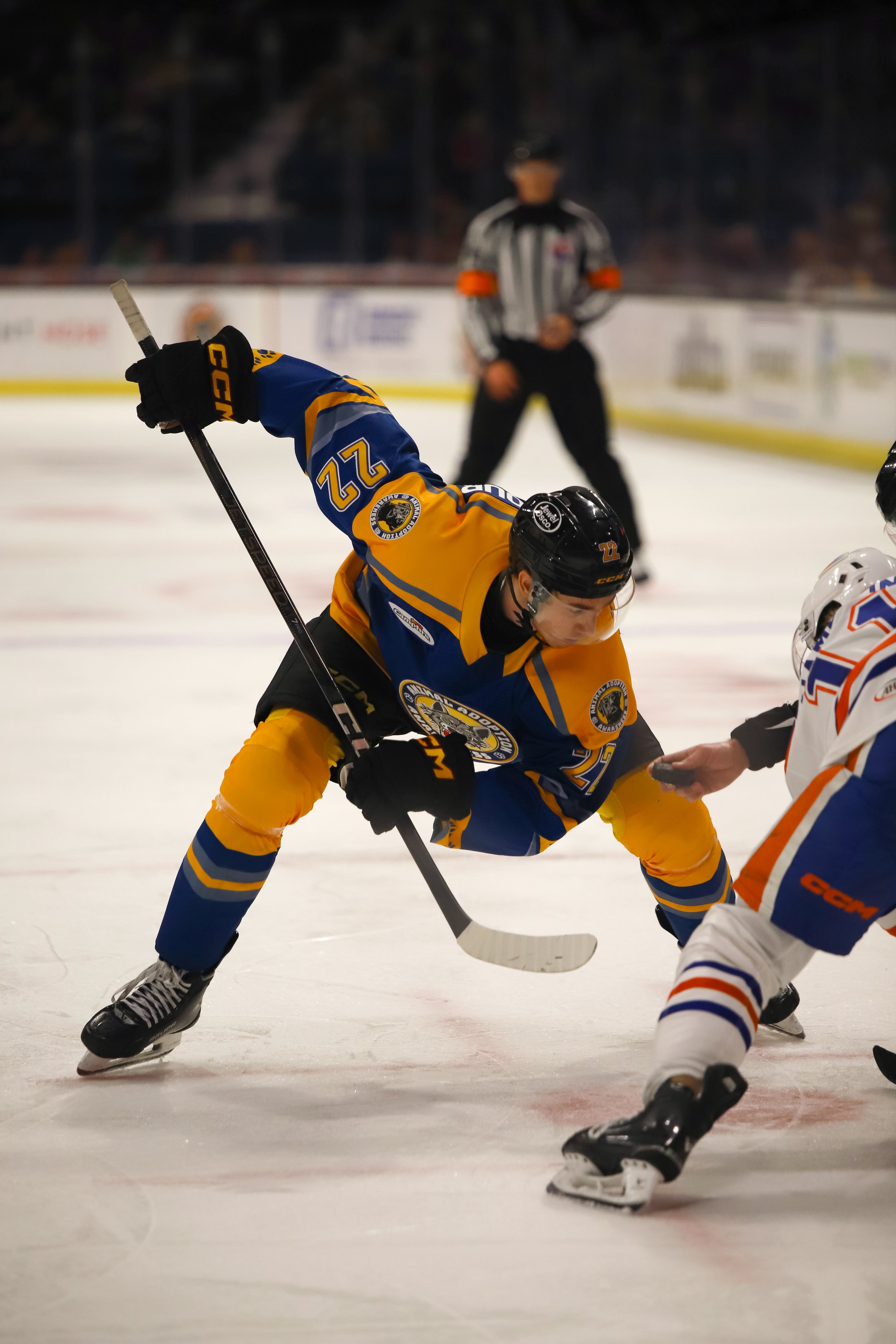 Wolves1-19-29.jpg