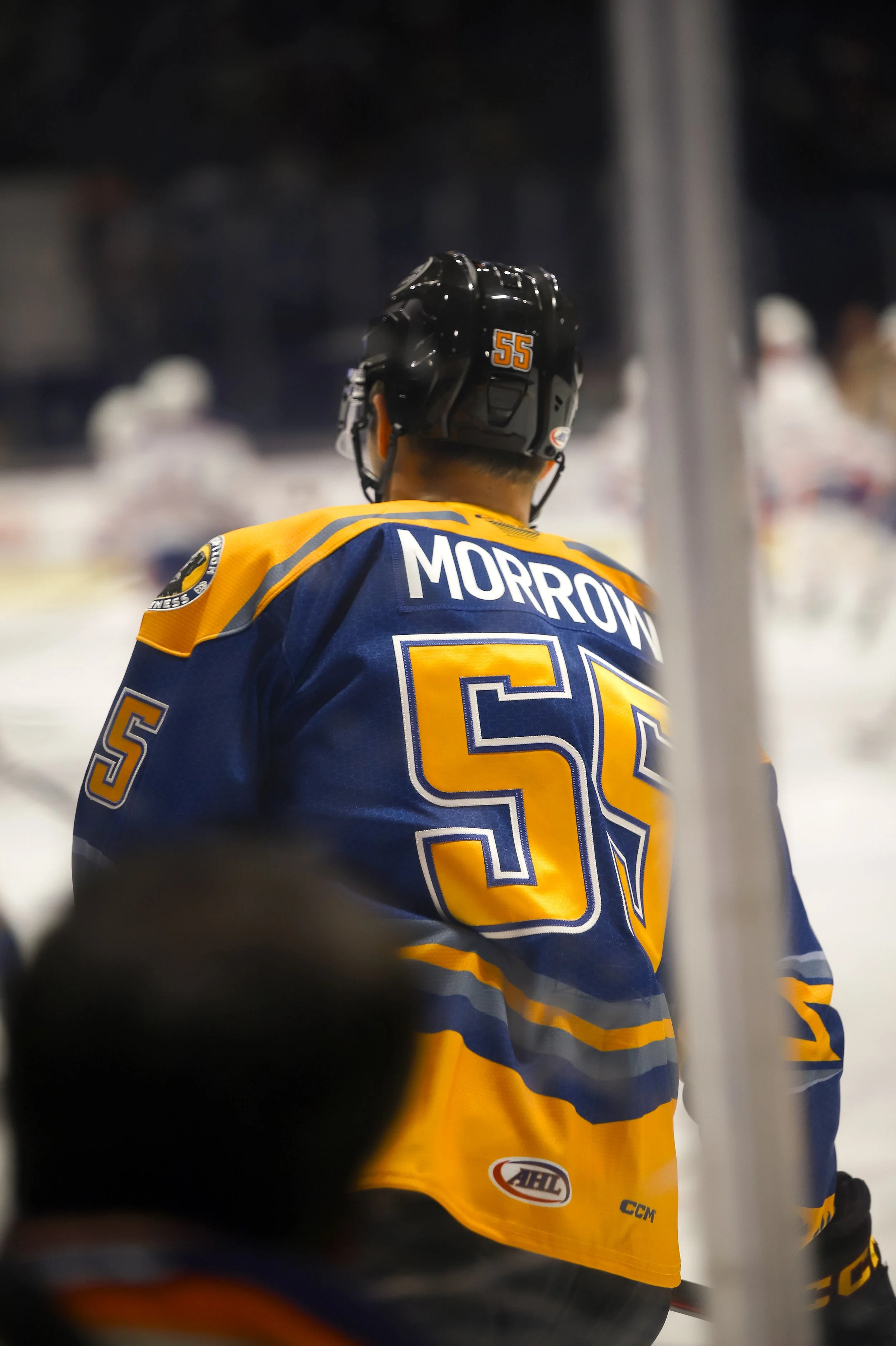 Wolves1-19-45.jpg