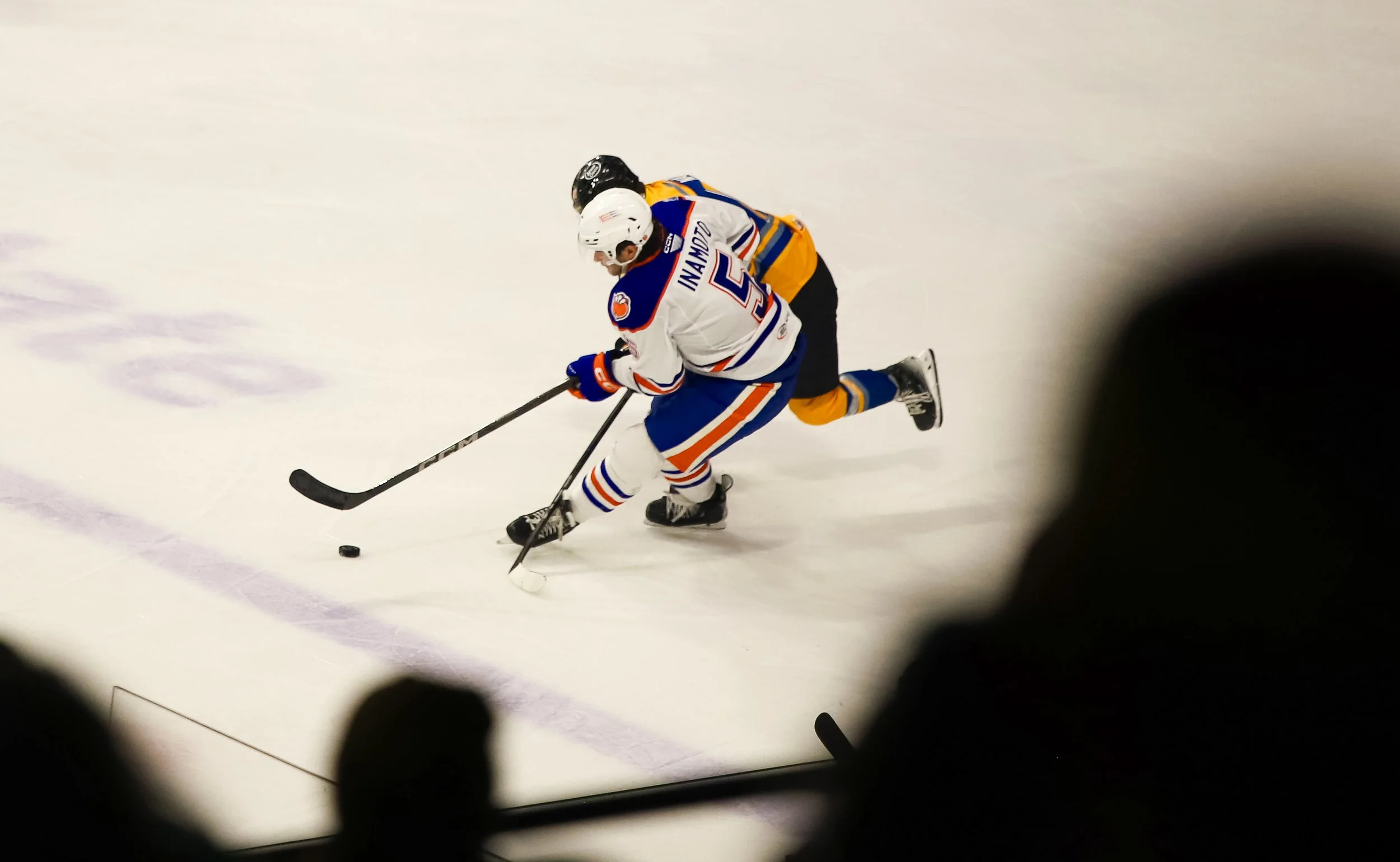 Wolves1-19-34.jpg
