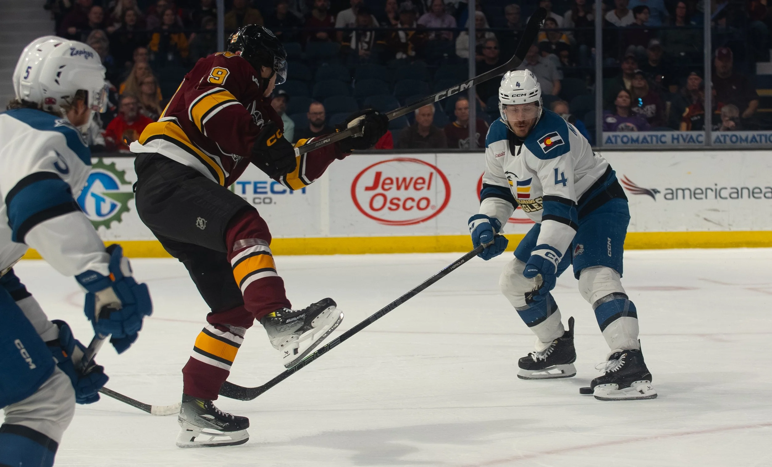 Wolves6-3-01.jpg