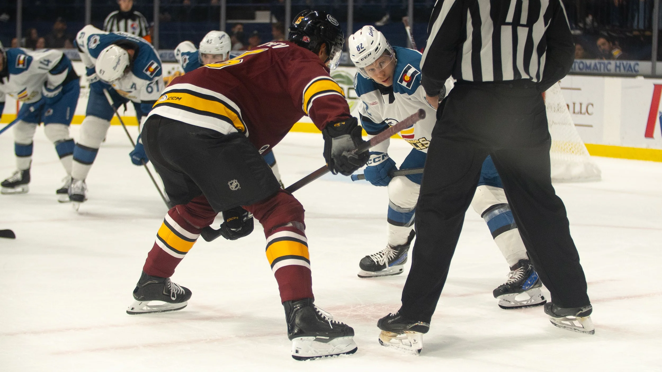 Wolves6-3-14.jpg
