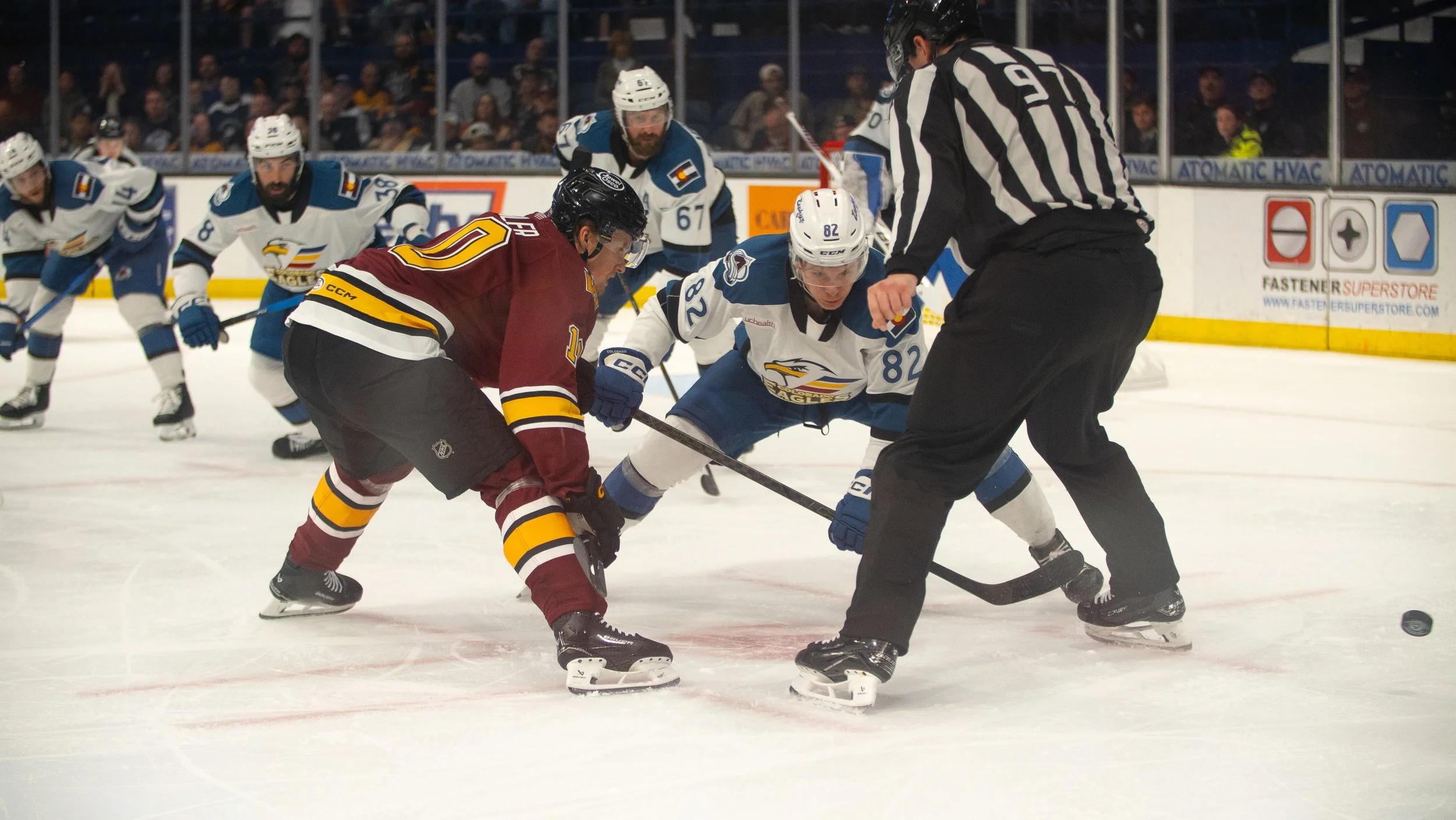 Wolves6-3-03.jpg
