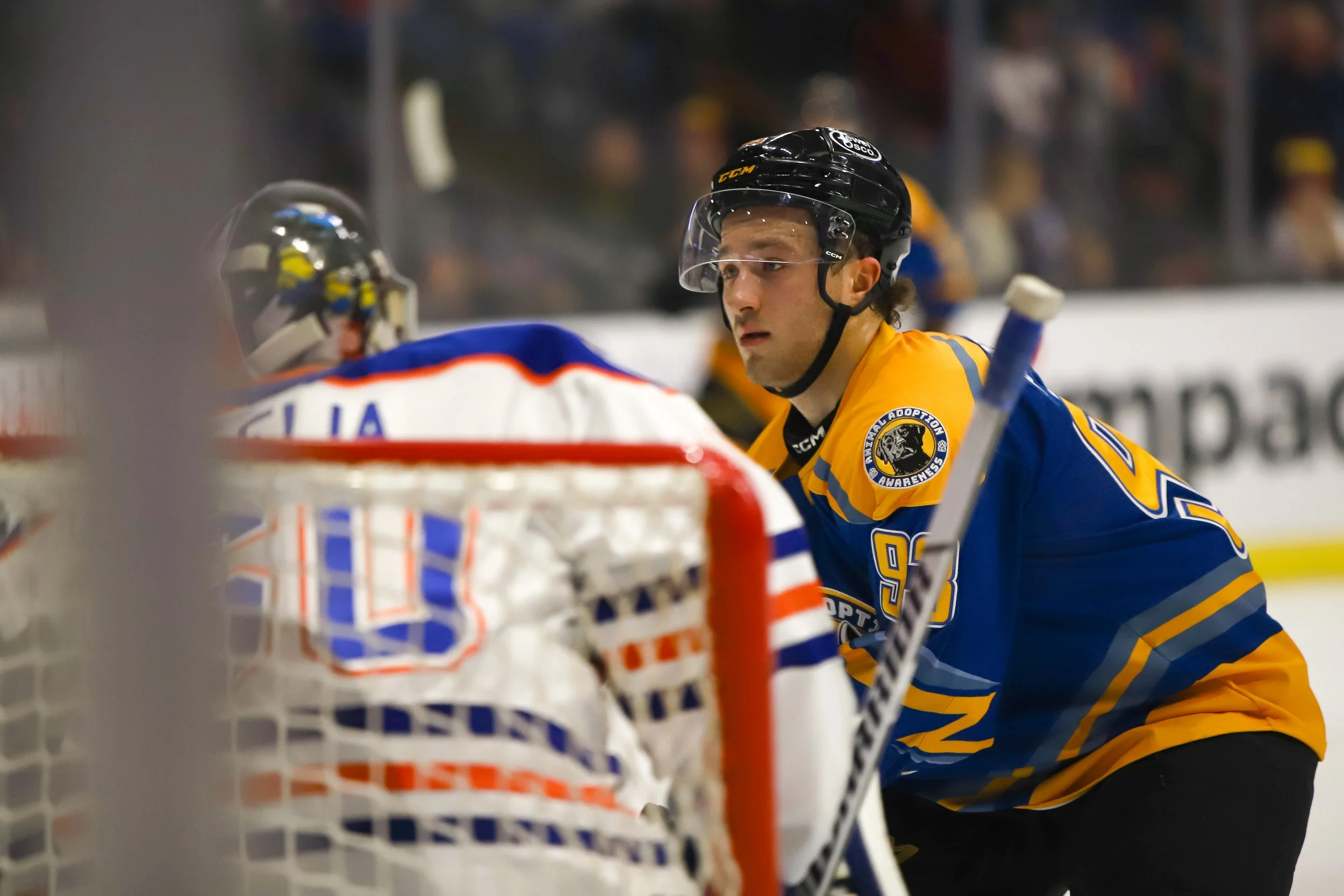 Wolves1-19-26.jpg