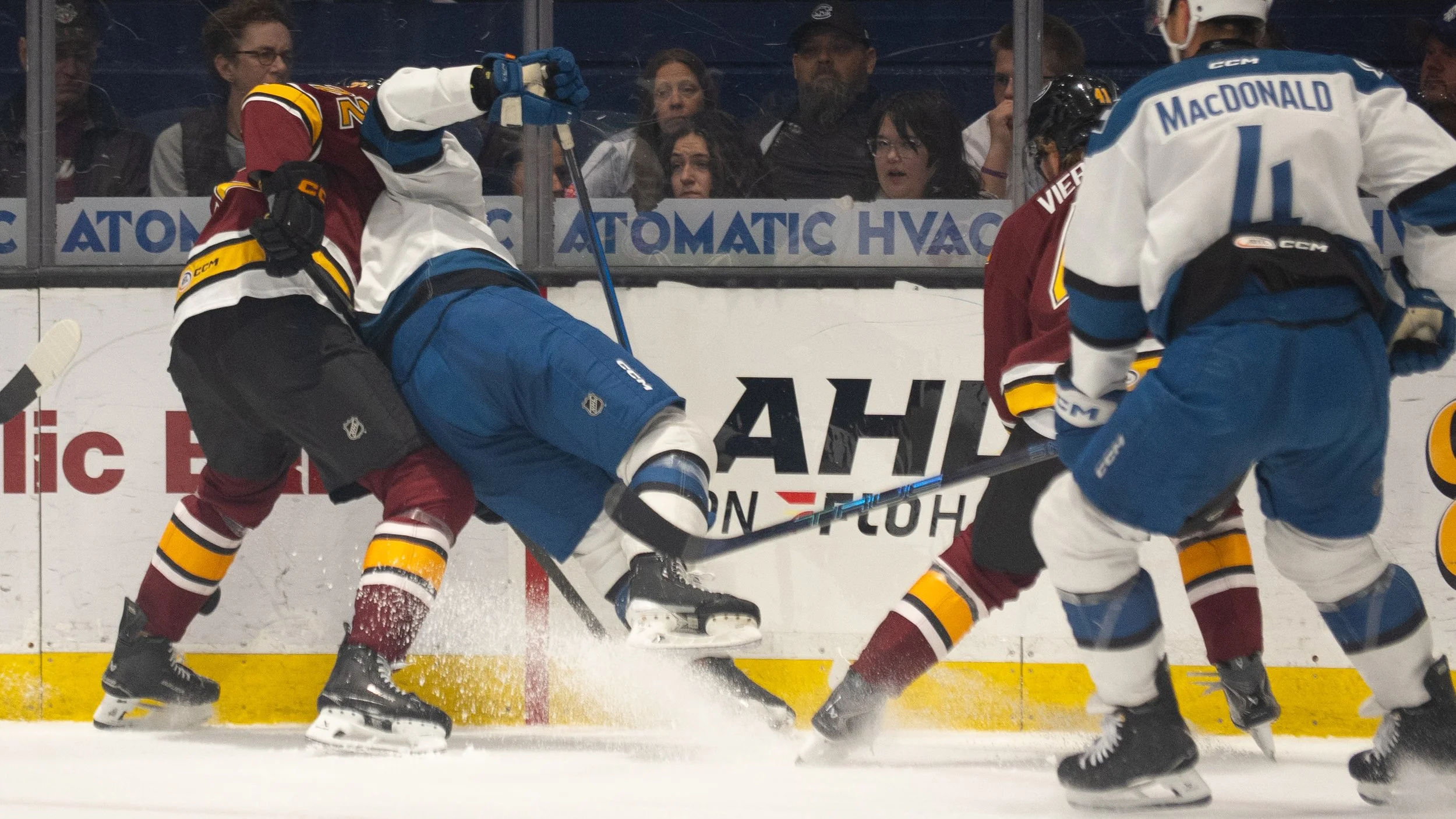 Wolves6-3-15.jpg