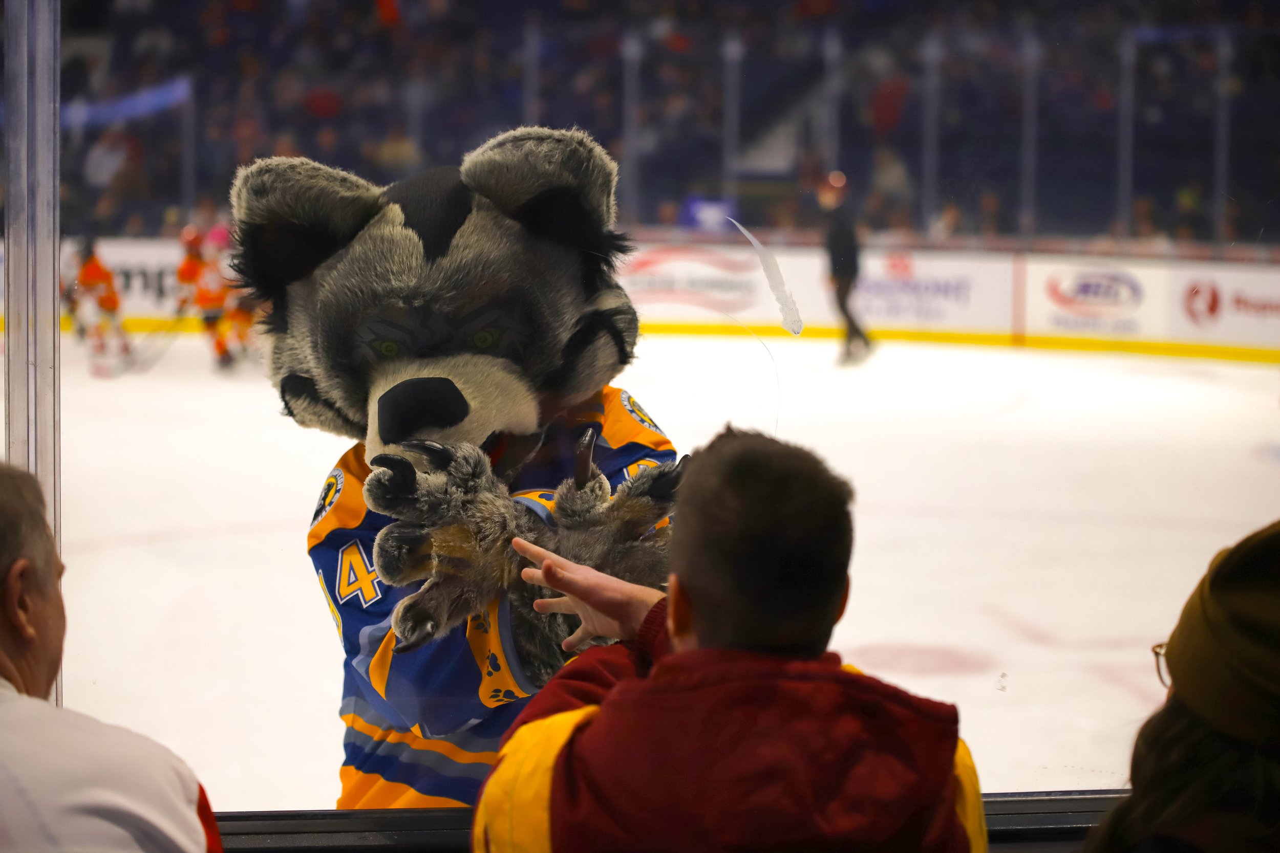 Wolves1-19-37.jpg