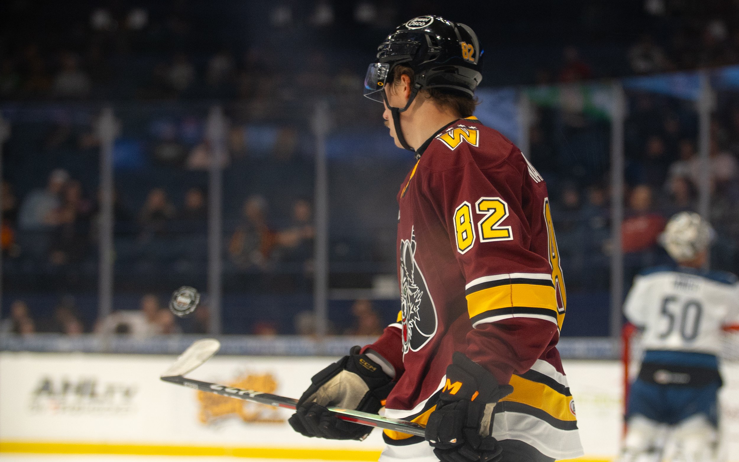 Wolves6-3-18.jpg
