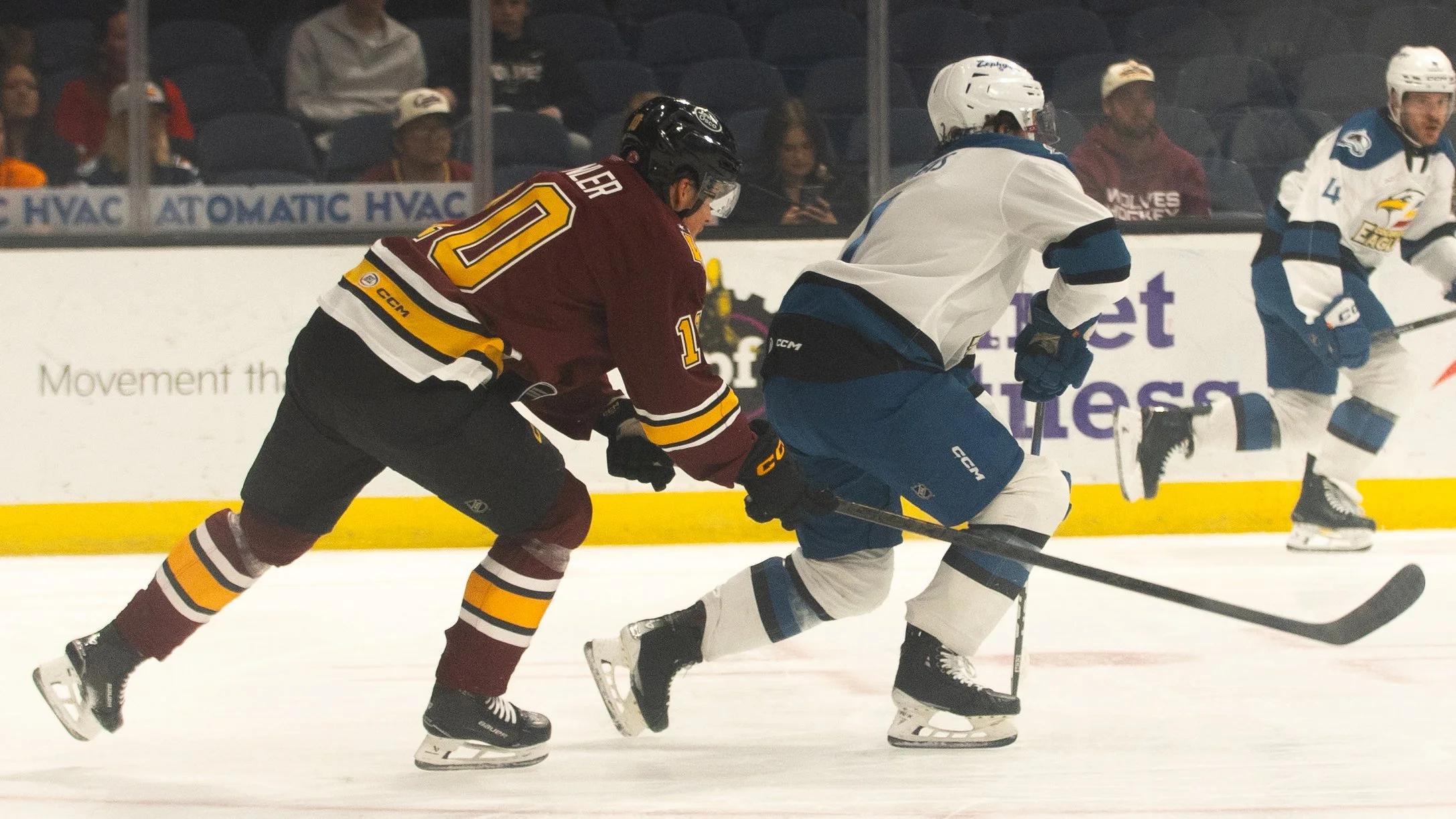 Wolves6-3-19.jpg