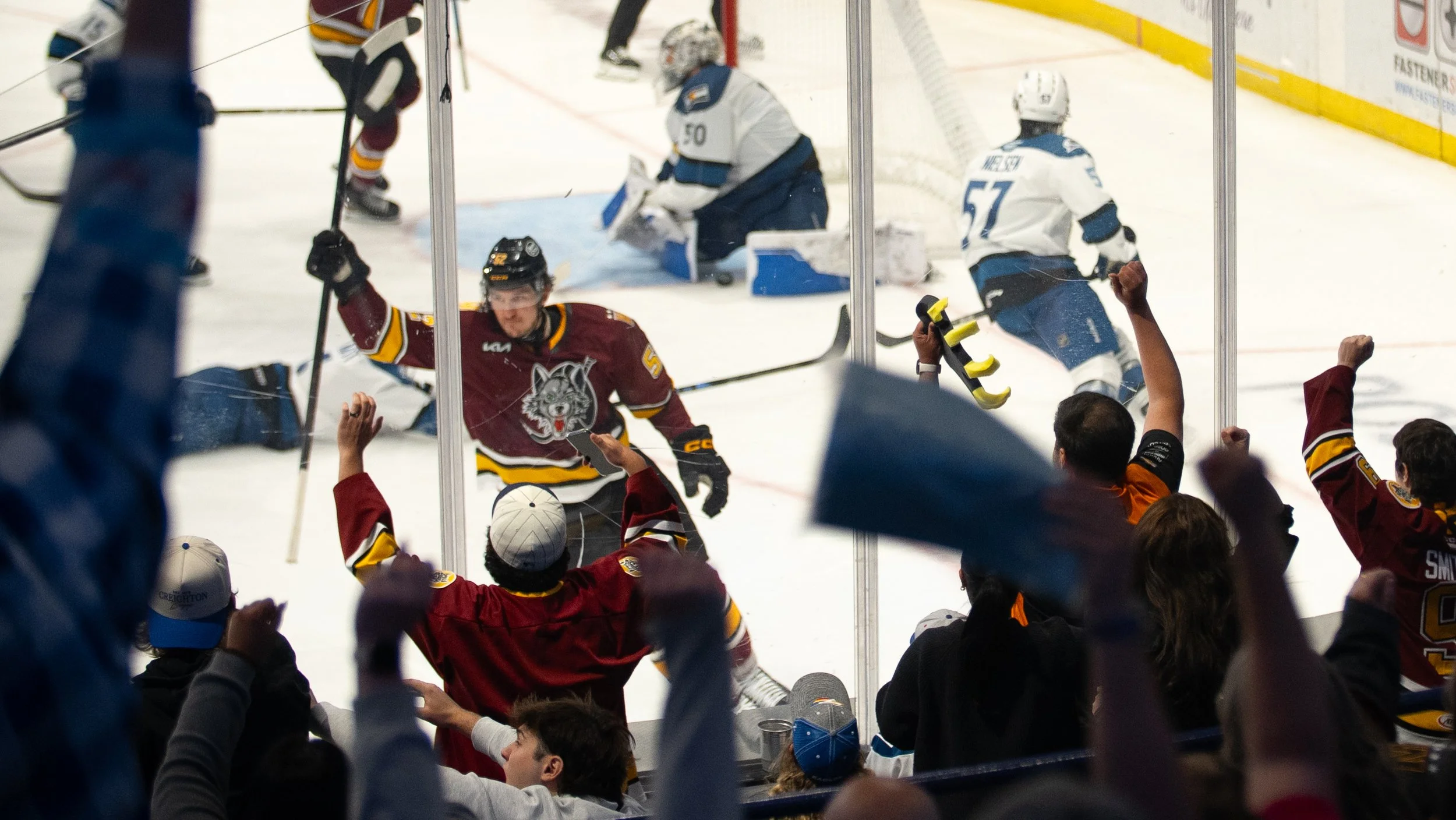 Wolves6-3-04.jpg