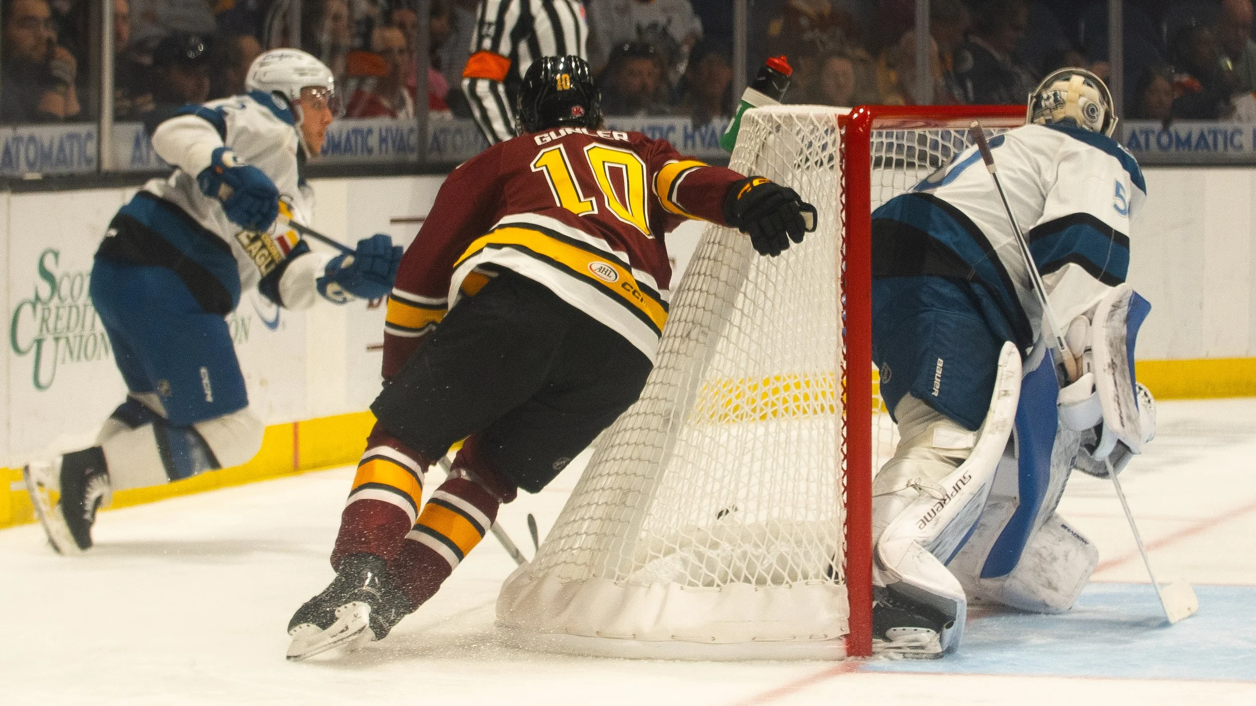 Wolves6-3-20.jpg