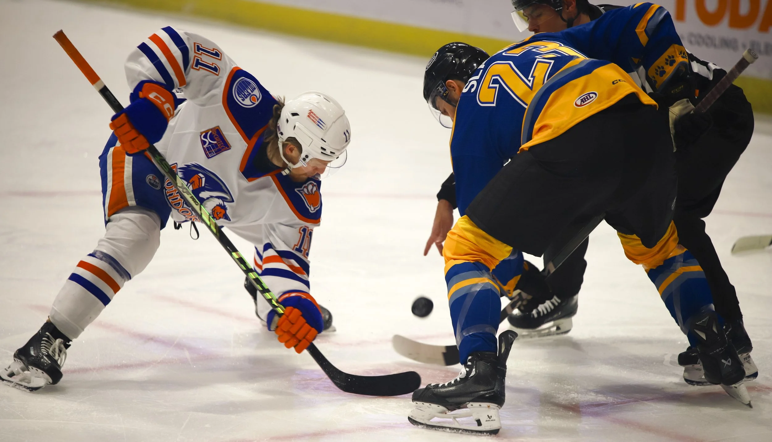 Wolves1-19-41.jpg