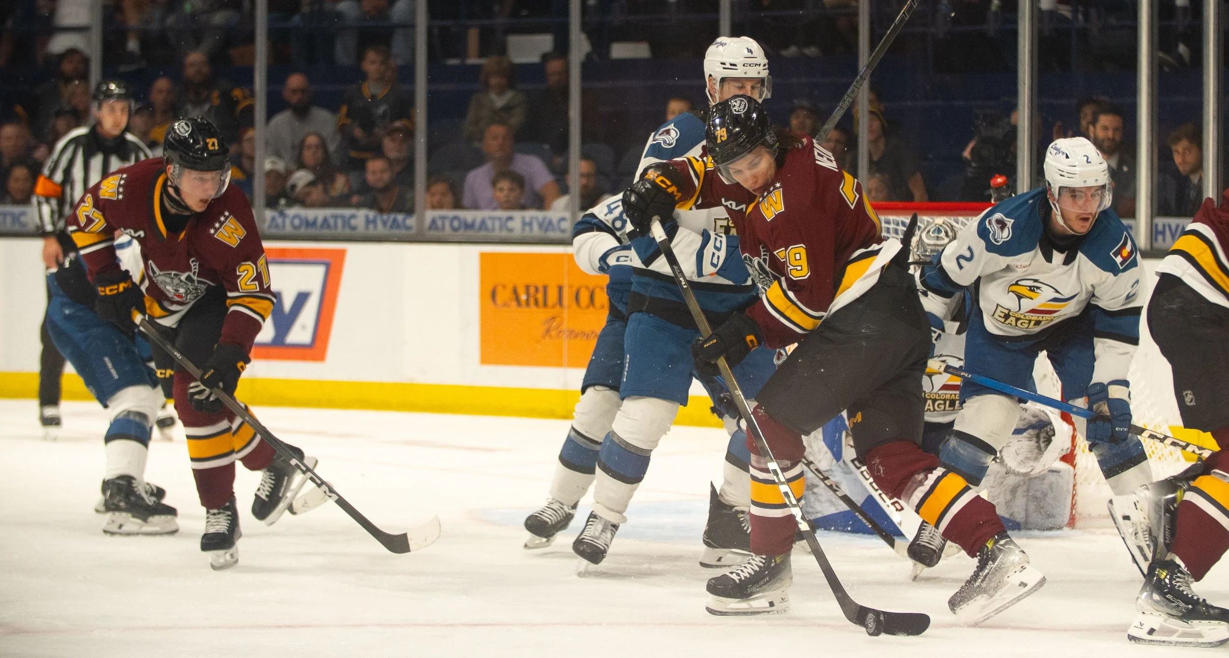 Wolves6-3-02.jpg