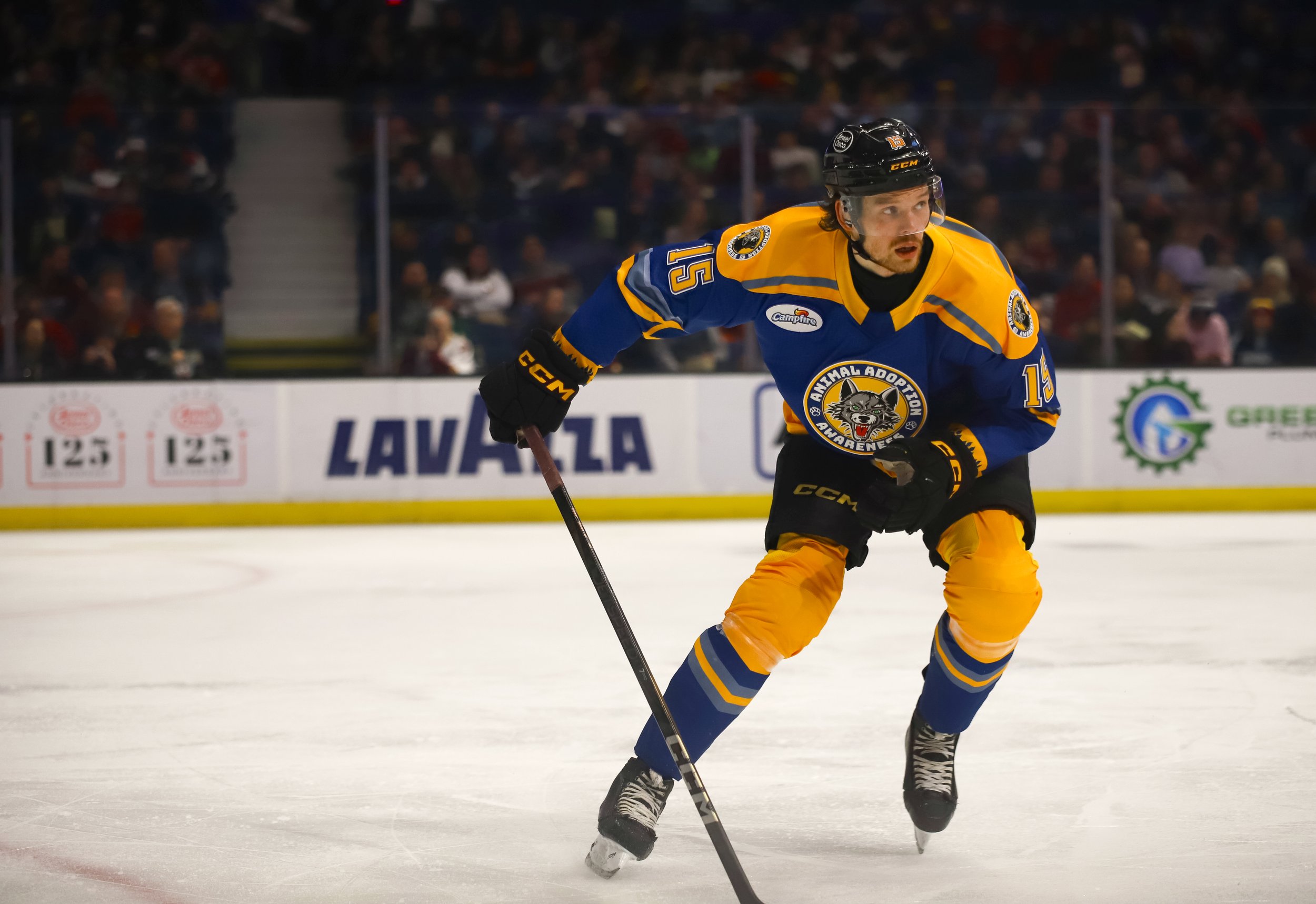Wolves1-19-36.jpg