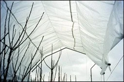 Rain protection cloth