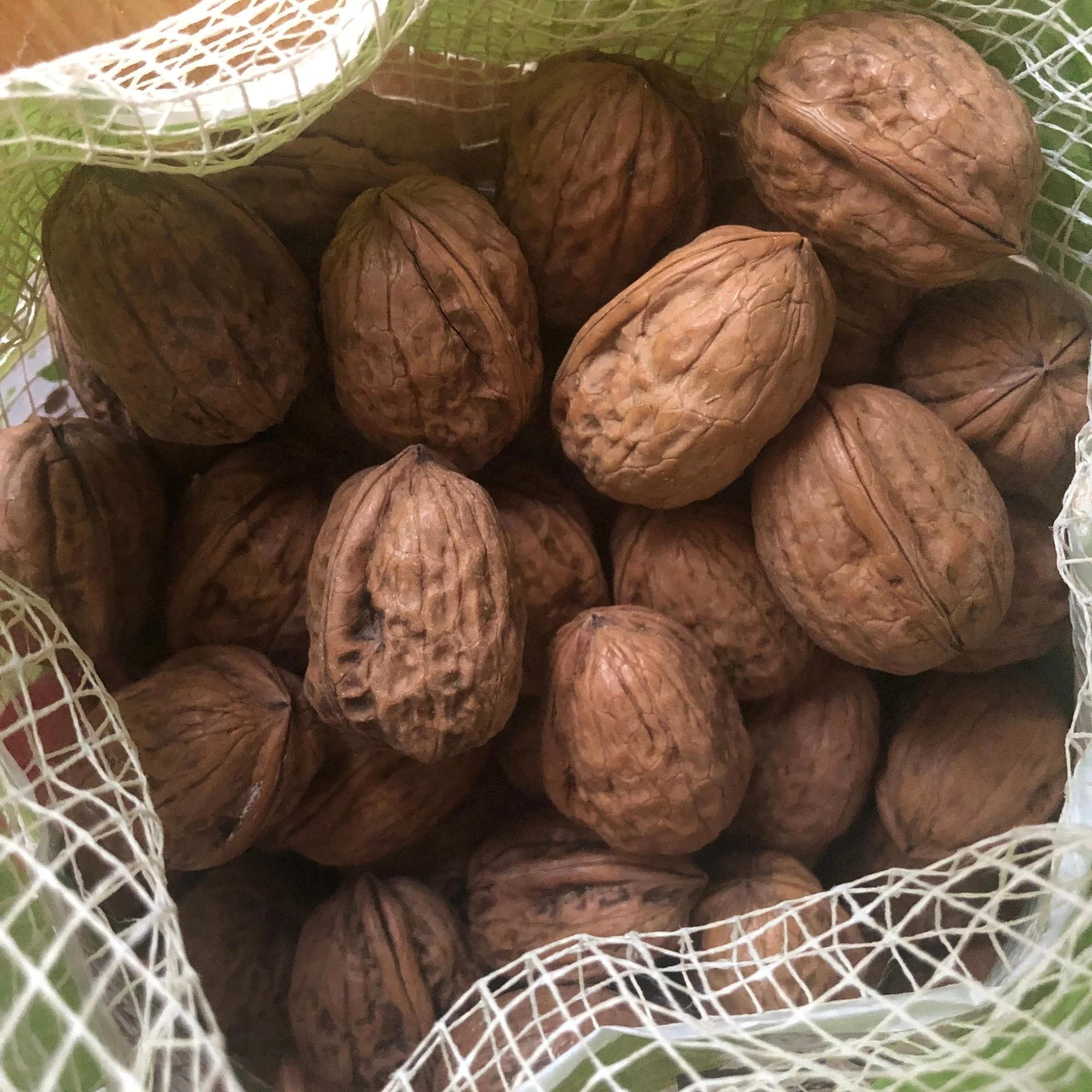 Close-up view of whole walnuts in a white mesh bag.